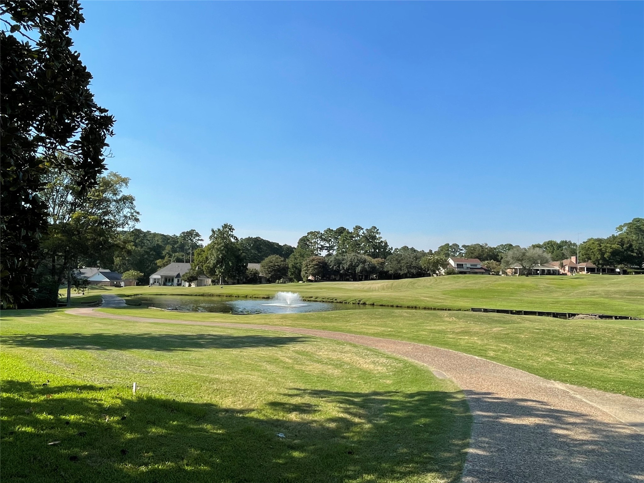 319 Brook Hollow Drive Property Photo 10