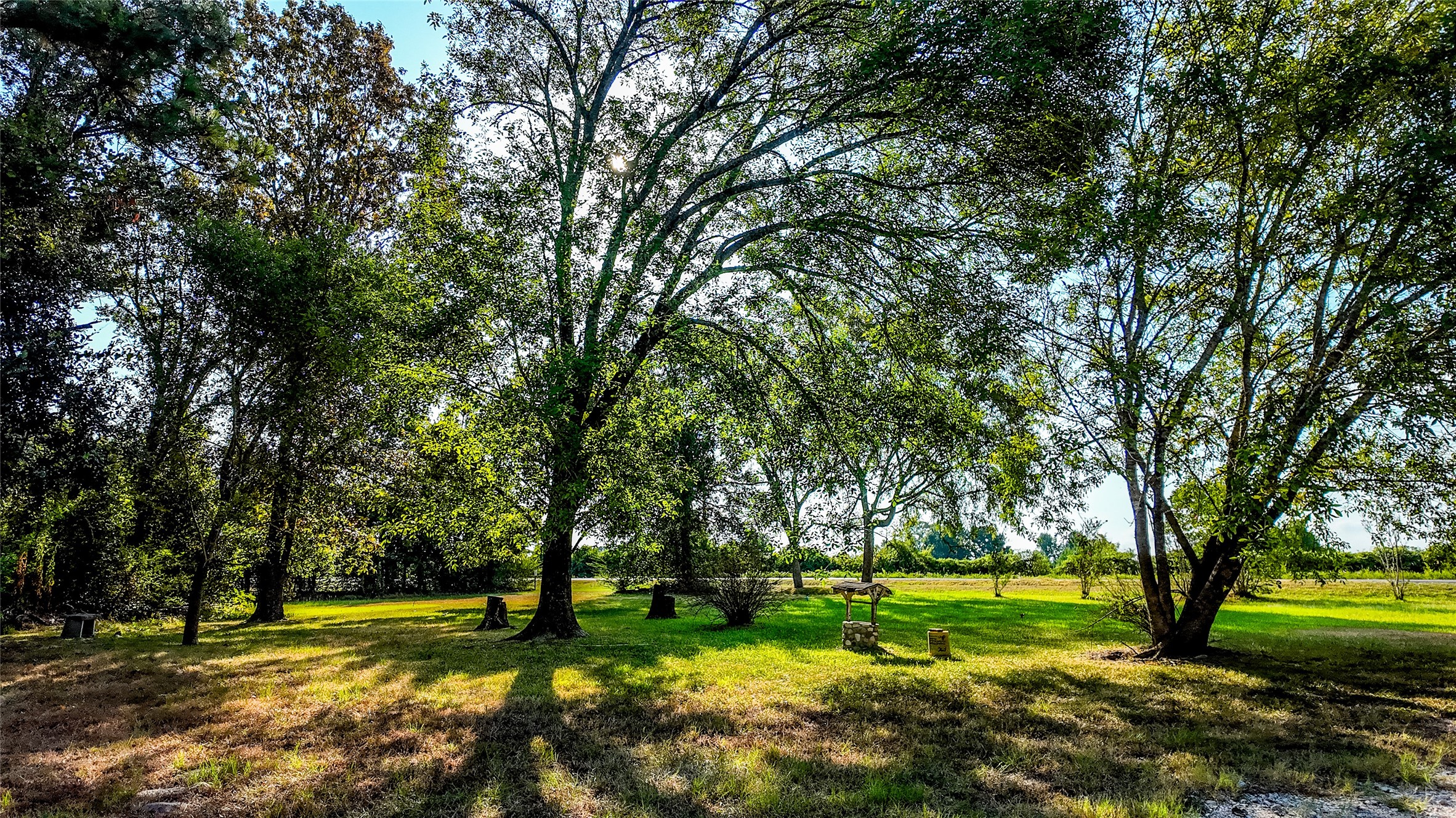 1493 Fm 980 Property Photo 19