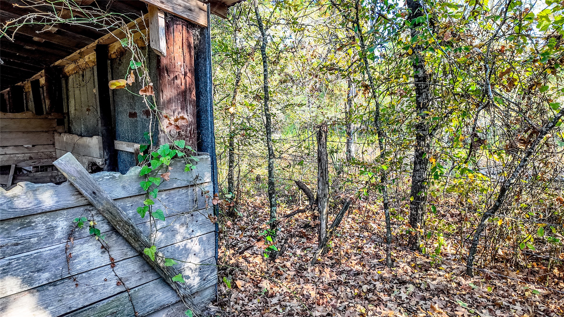 1493 Fm 980 Property Photo 24