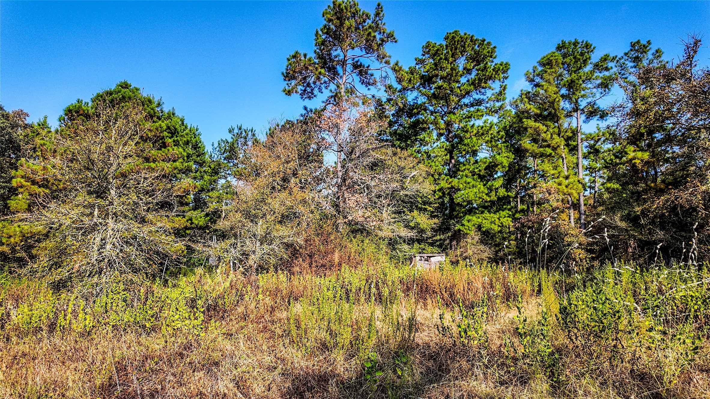 1493 Fm 980 Property Photo 28