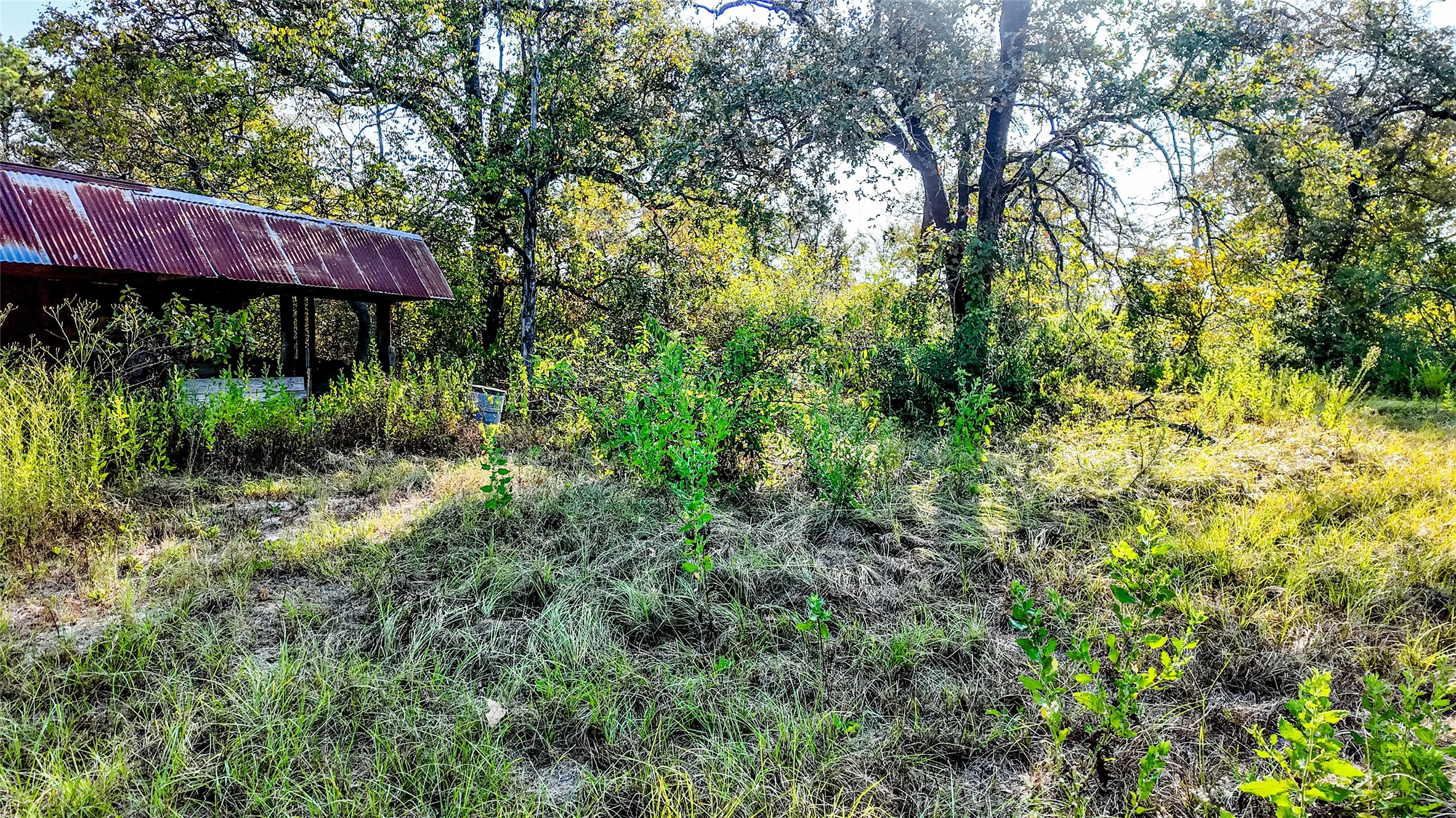 1493 Fm 980 Property Photo 30