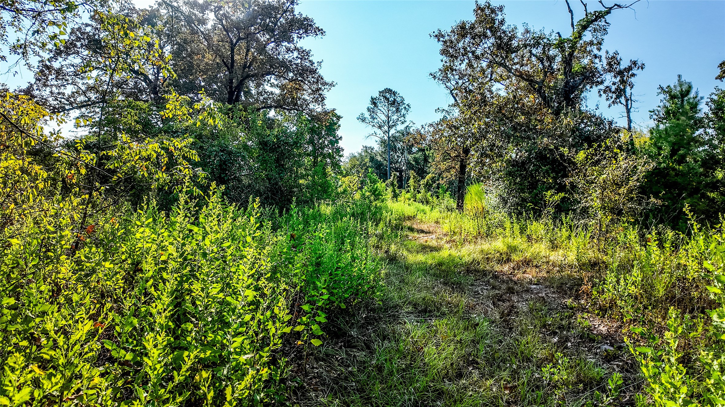 1493 Fm 980 Property Photo 31