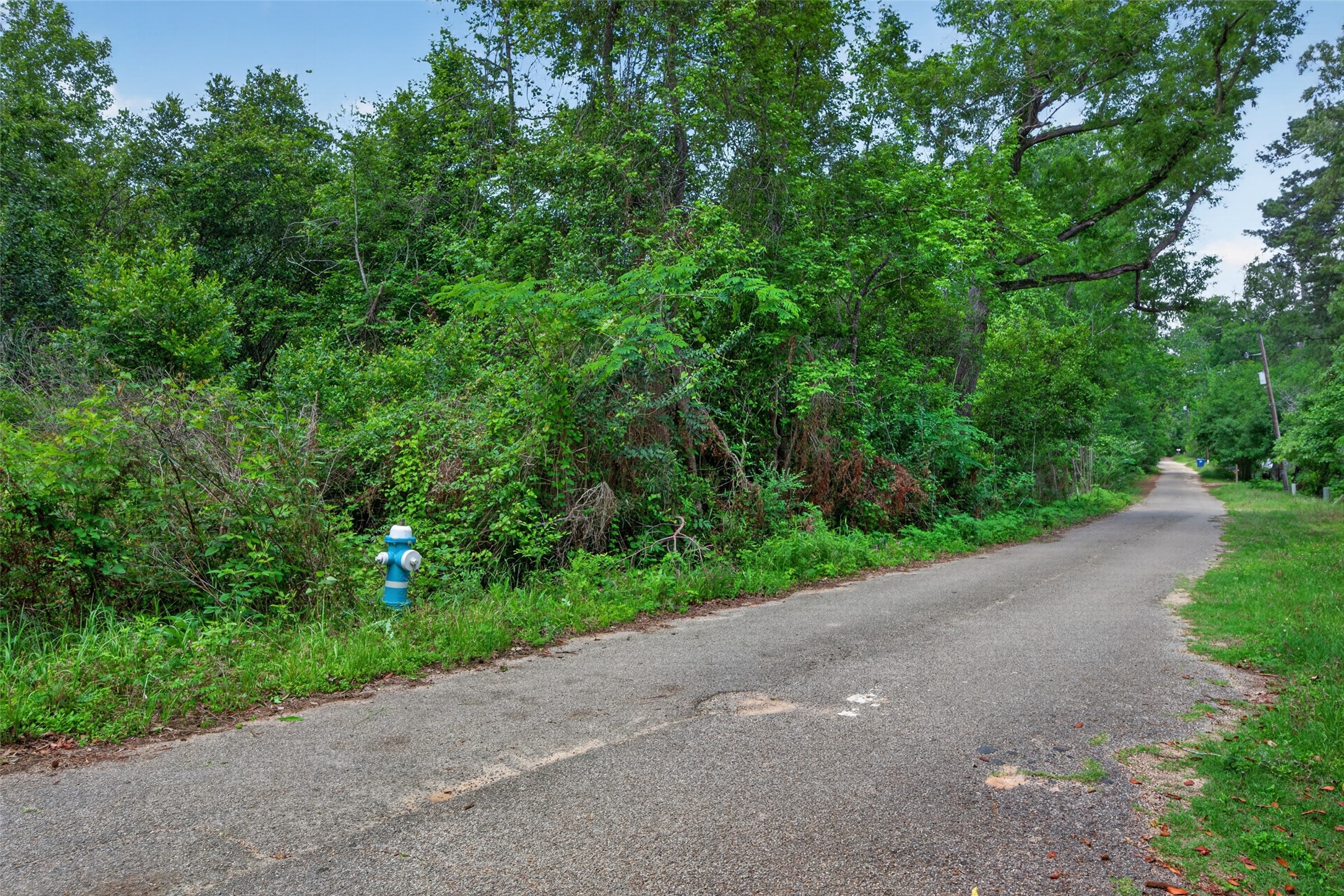 0 Black Street Property Photo 19