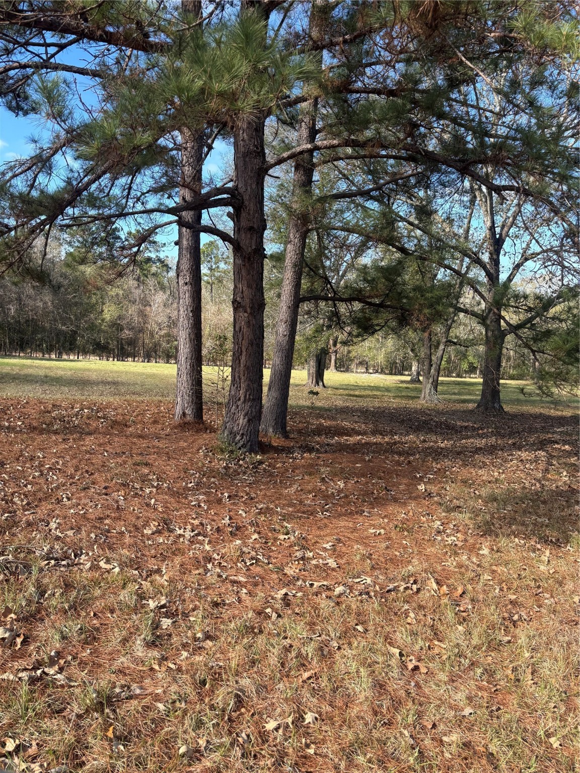 2956 Us Highway 59 S Property Photo 1