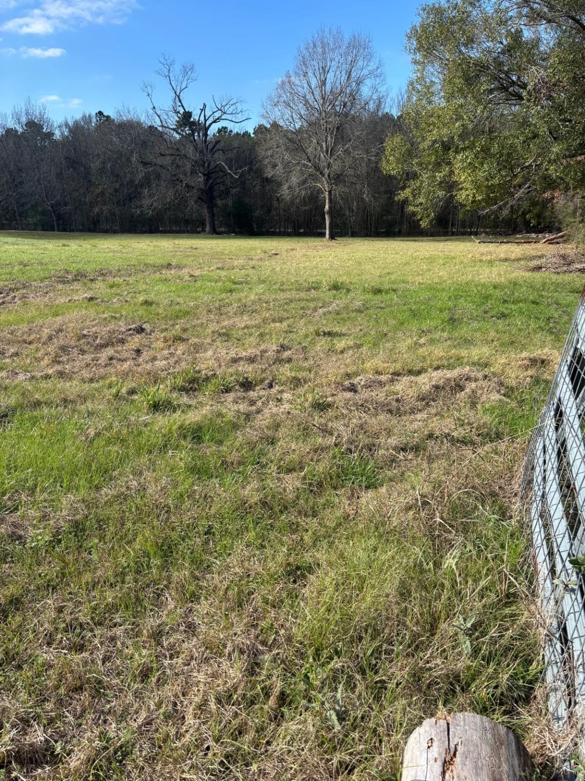 2956 Us Highway 59 S Property Photo 3