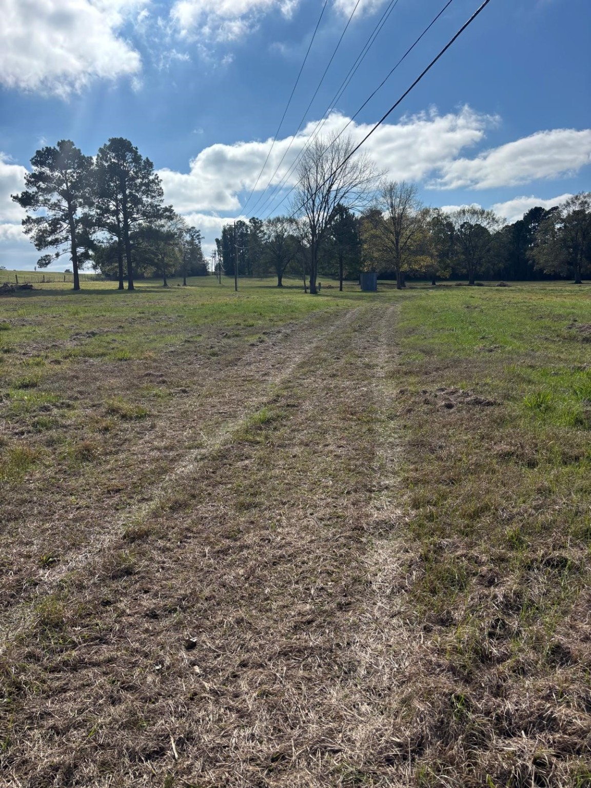 2956 Us Highway 59 S Property Photo 5
