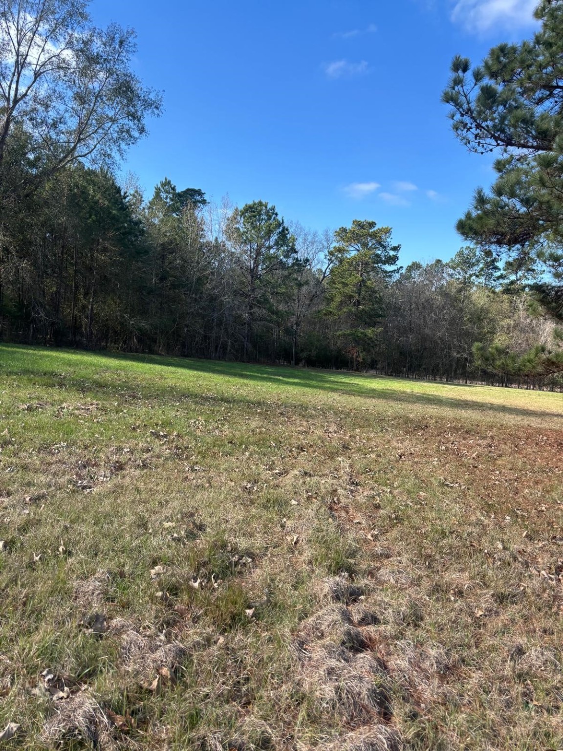2956 Us Highway 59 S Property Photo 6