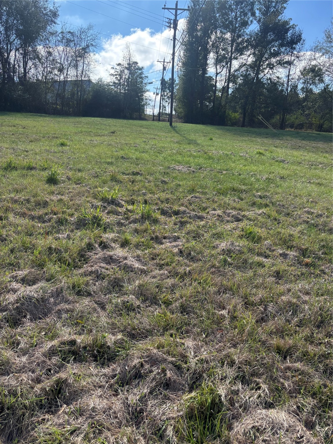 2956 Us Highway 59 S Property Photo 7