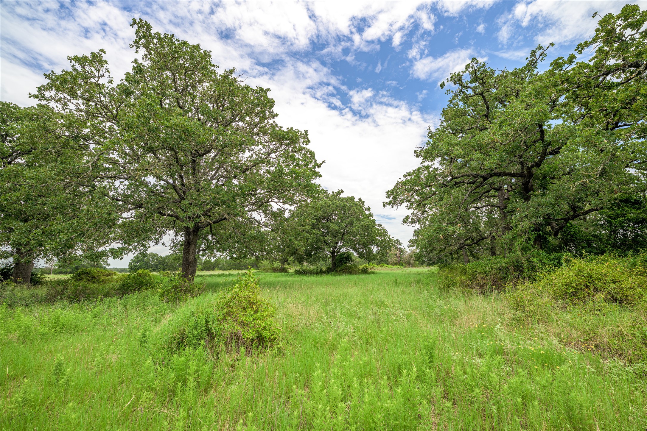 Tbd Private Road 2904 Property Photo 1
