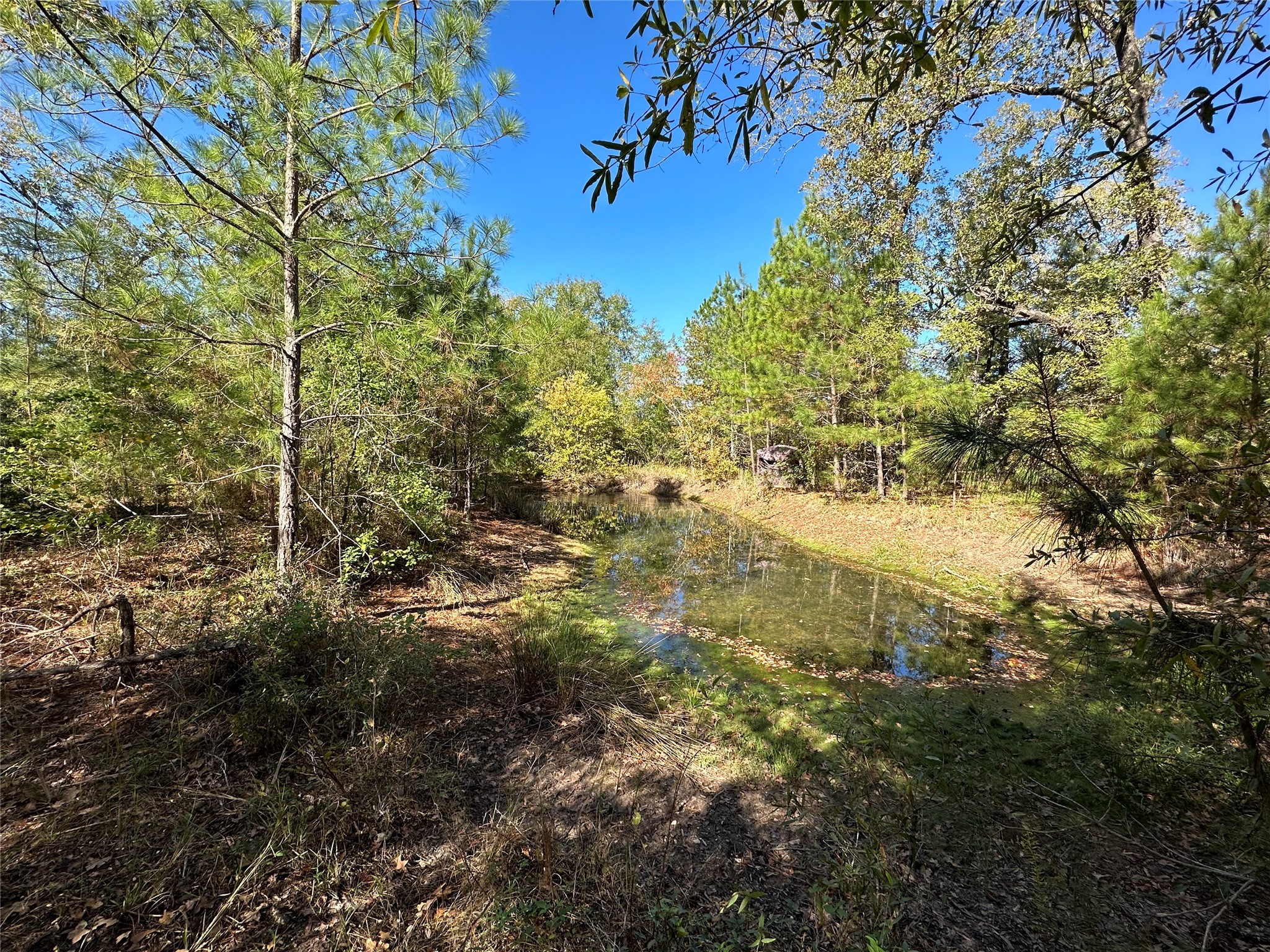 1529 Pinecrest Road Property Photo 1