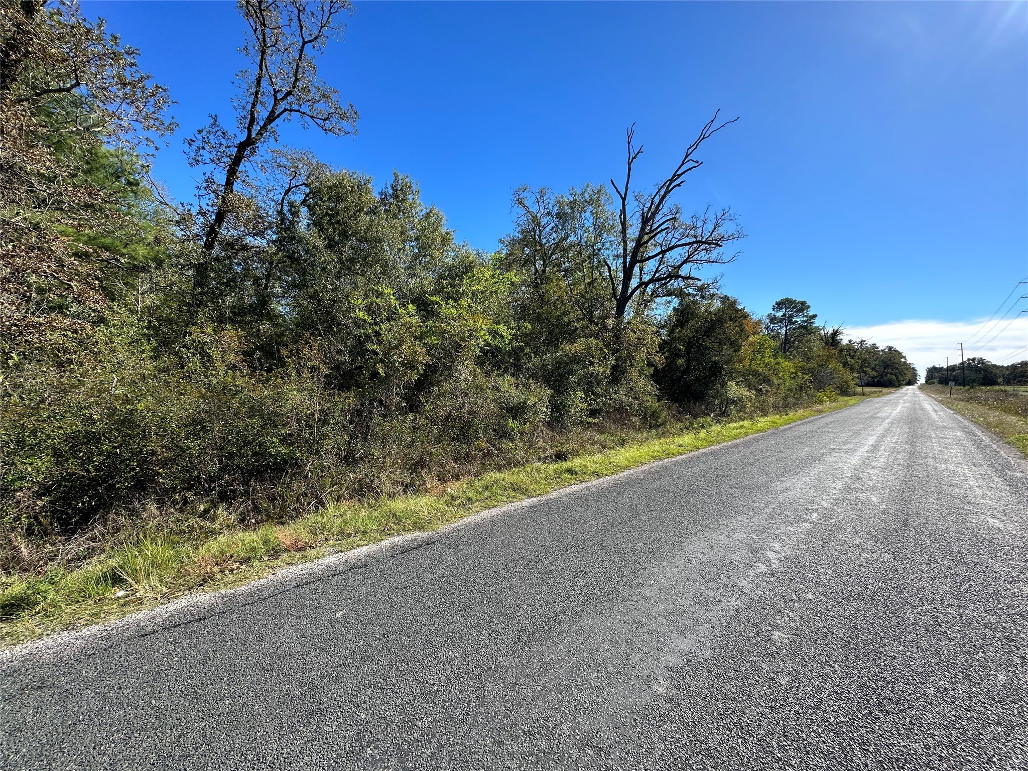 1529 Pinecrest Road Property Photo 2