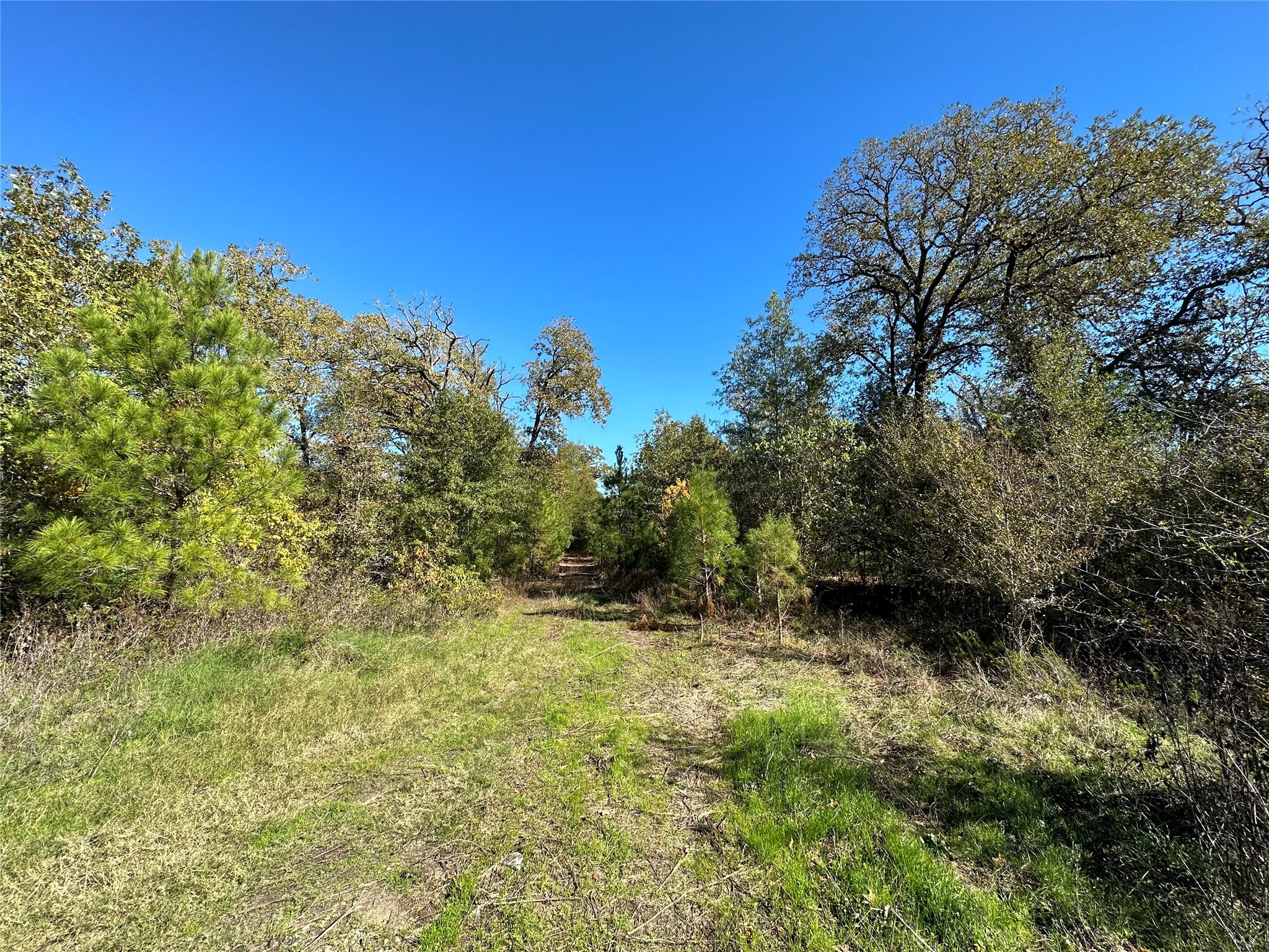 1529 Pinecrest Road Property Photo 4