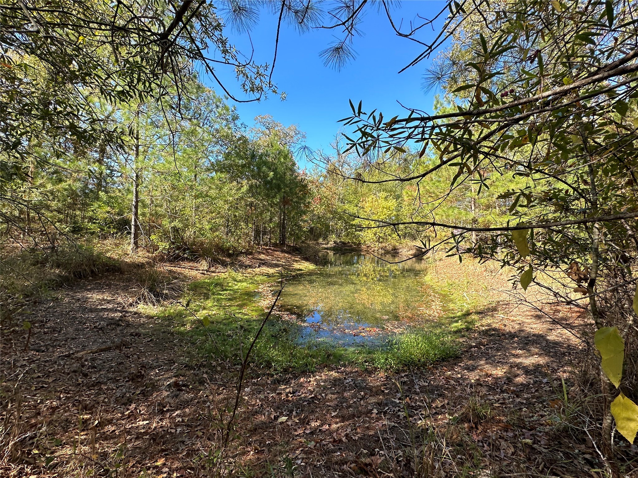 1529 Pinecrest Road Property Photo 6