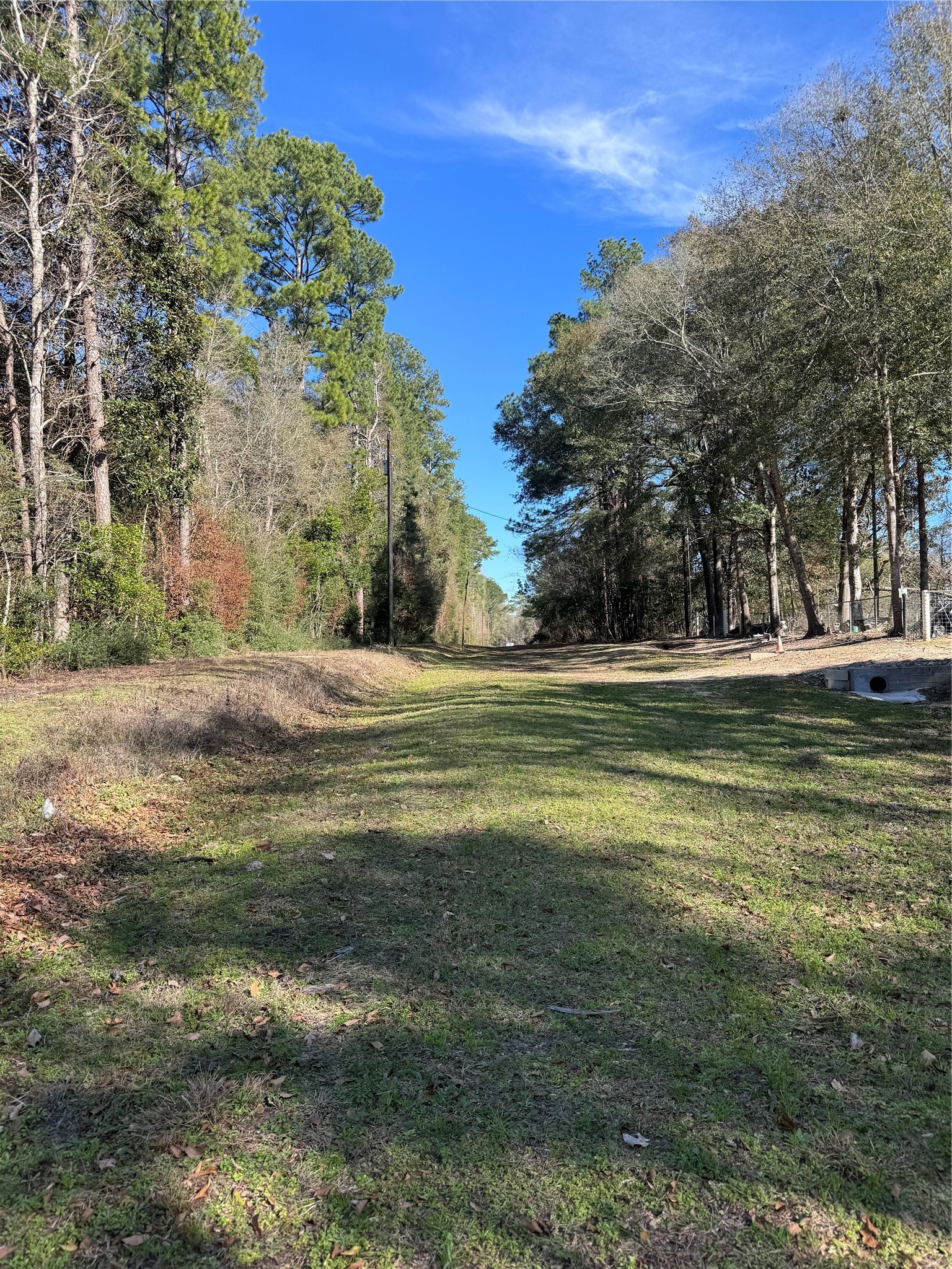 Tbd Cr 2669,2670 Property Photo 6