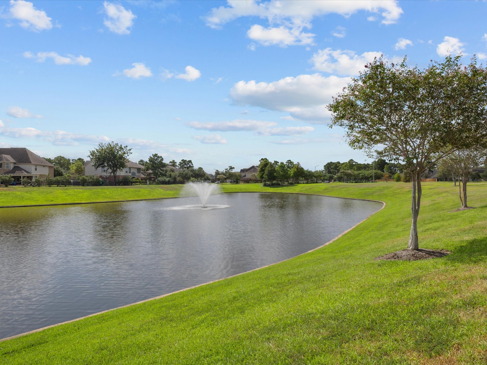 12411 Point Arbor Court Property Photo 39