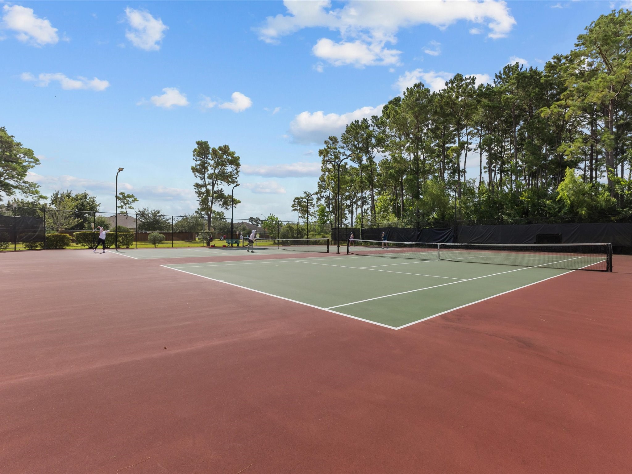 12411 Point Arbor Court Property Photo 45