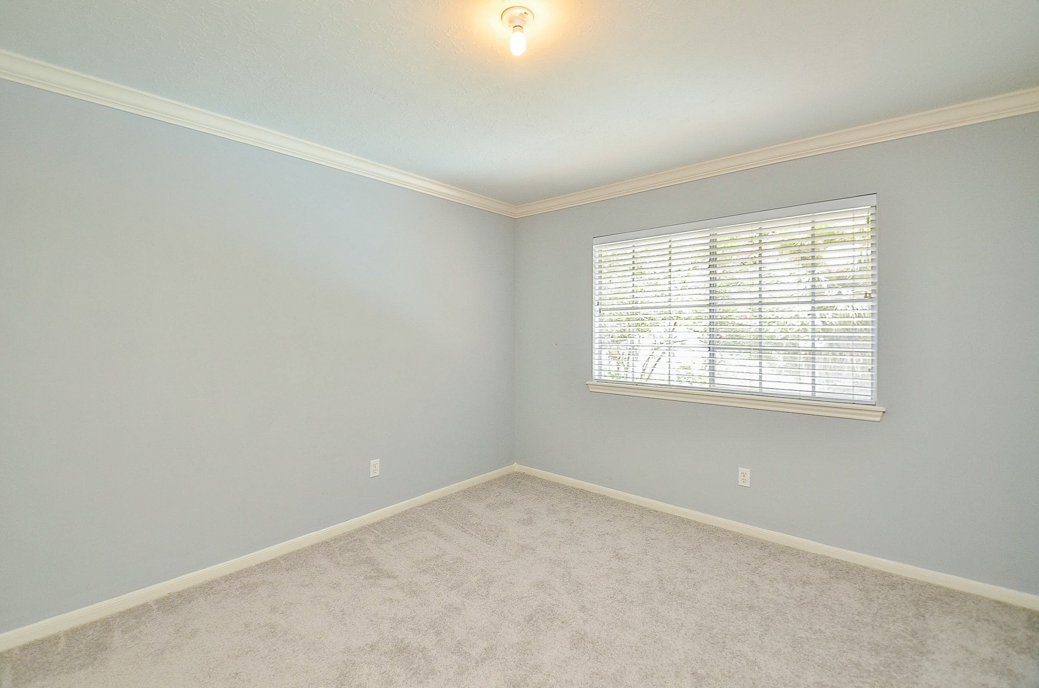3126 Serene Oak Drive Property Photo 32