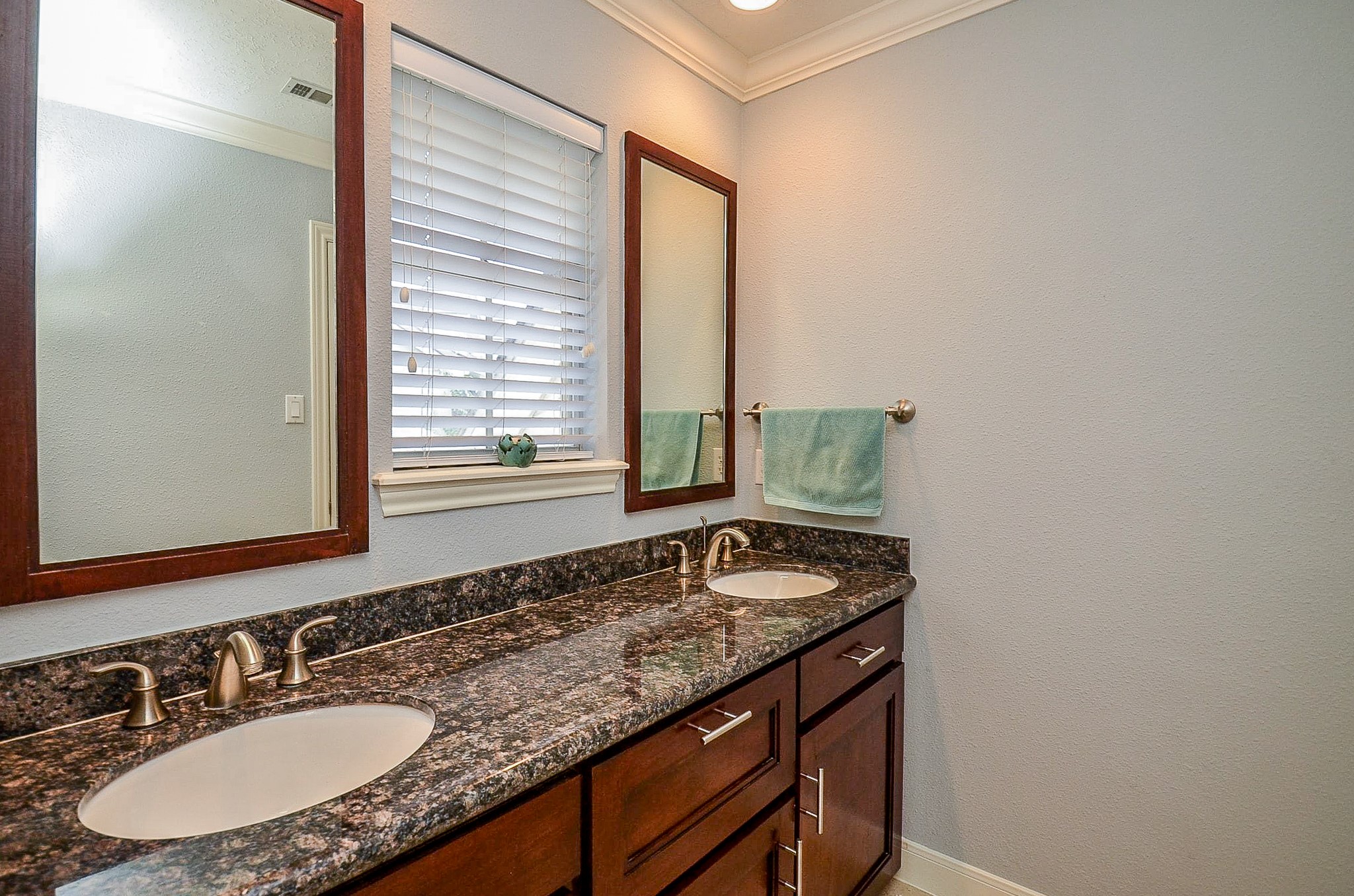 3126 Serene Oak Drive Property Photo 41
