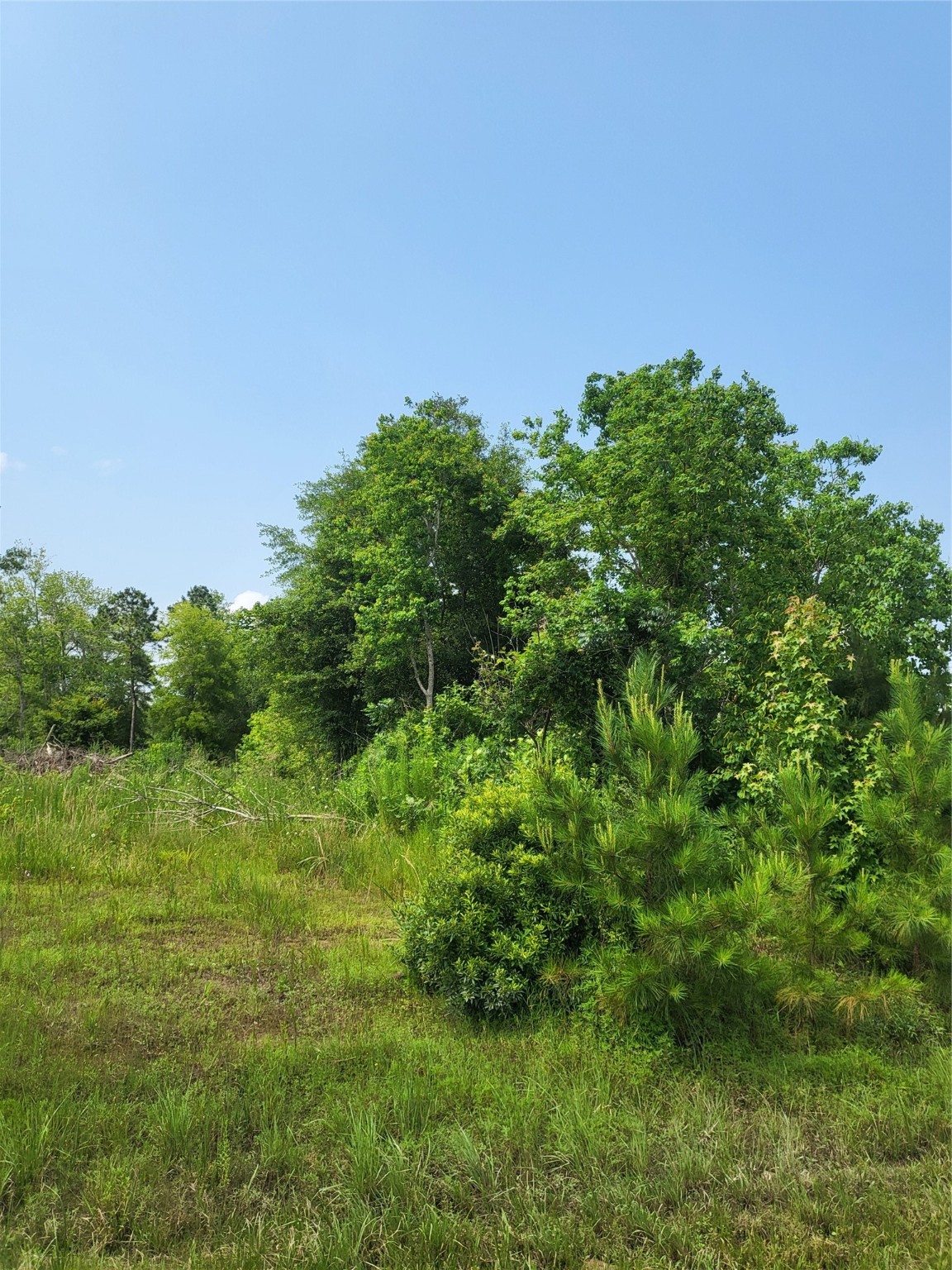 898 County Road 5003 Property Photo 3