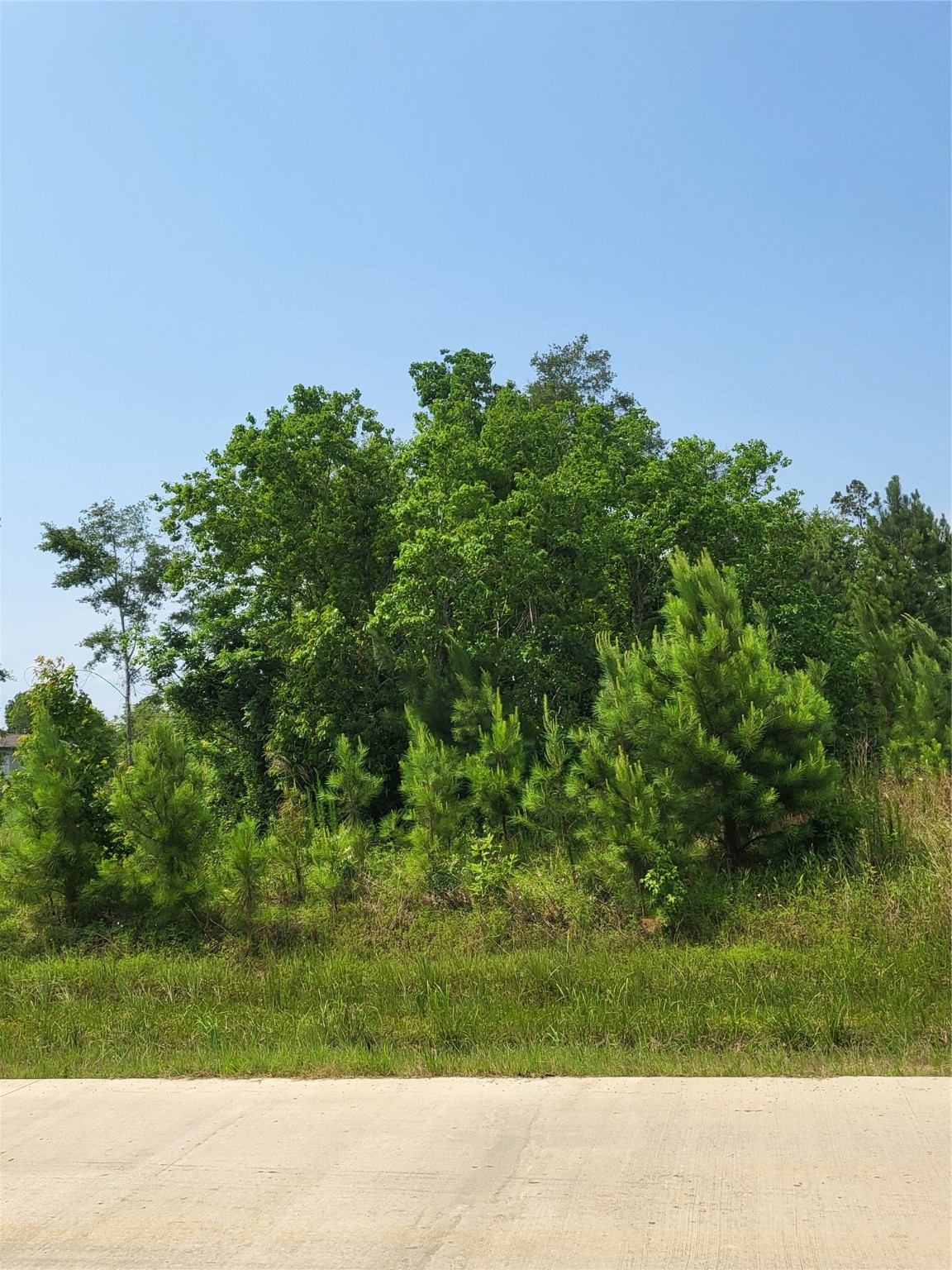 898 County Road 5003 Property Photo 5