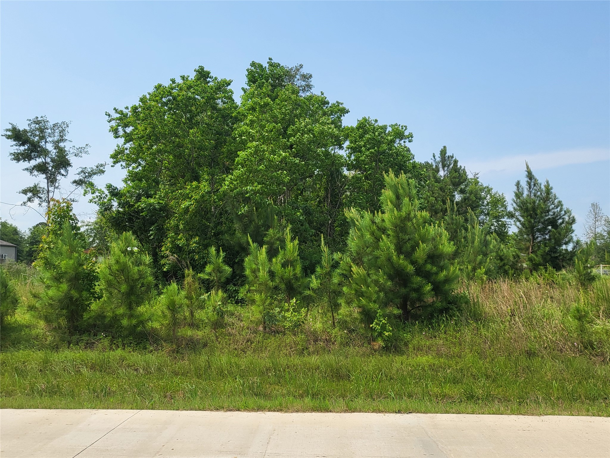 898 County Road 5003 Property Photo 6
