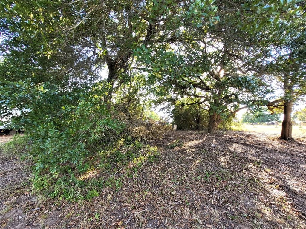 14536 Cochran Road Property Photo 14