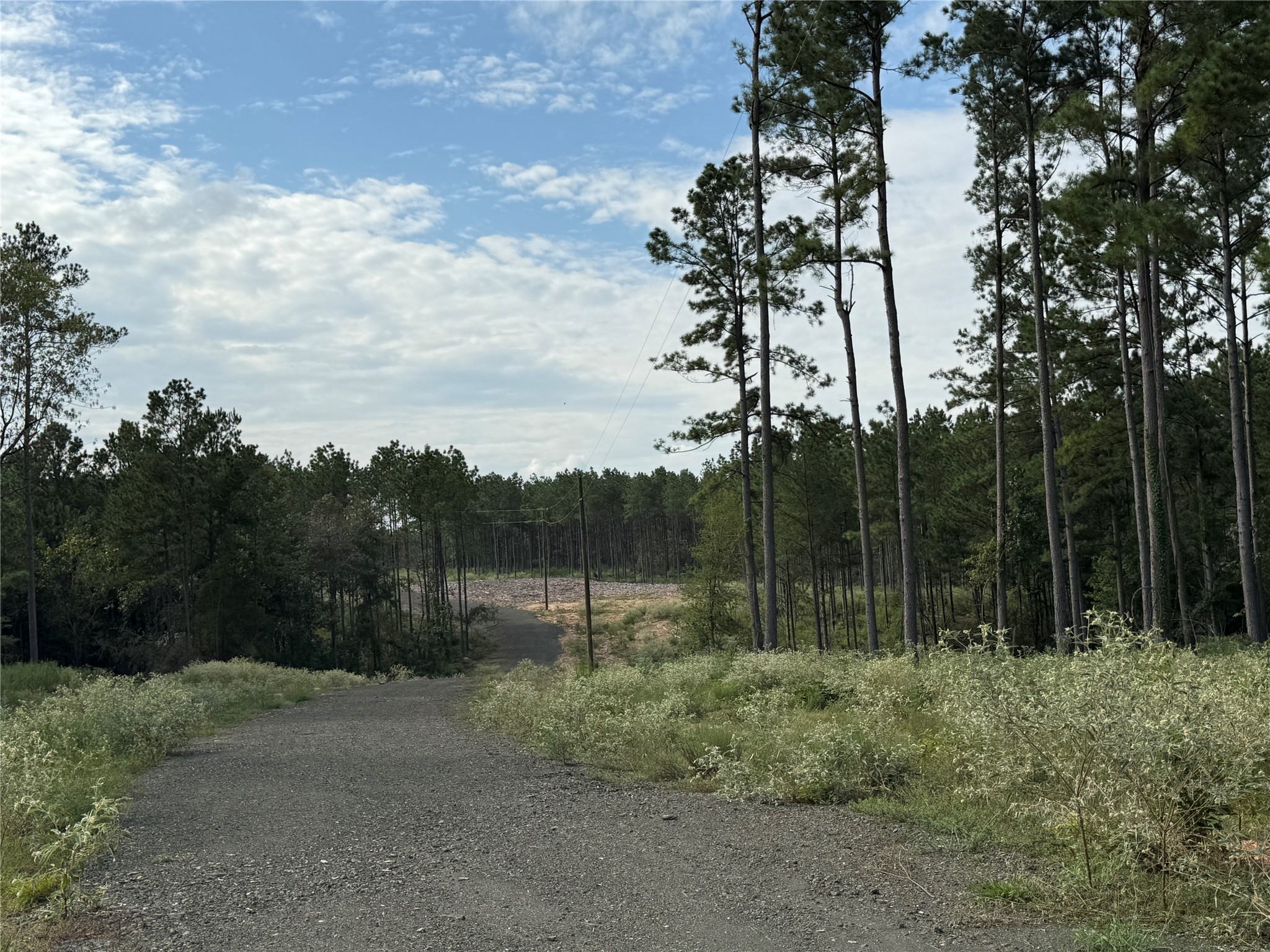 492 Piney Creek Estates Rd Property Photo 4