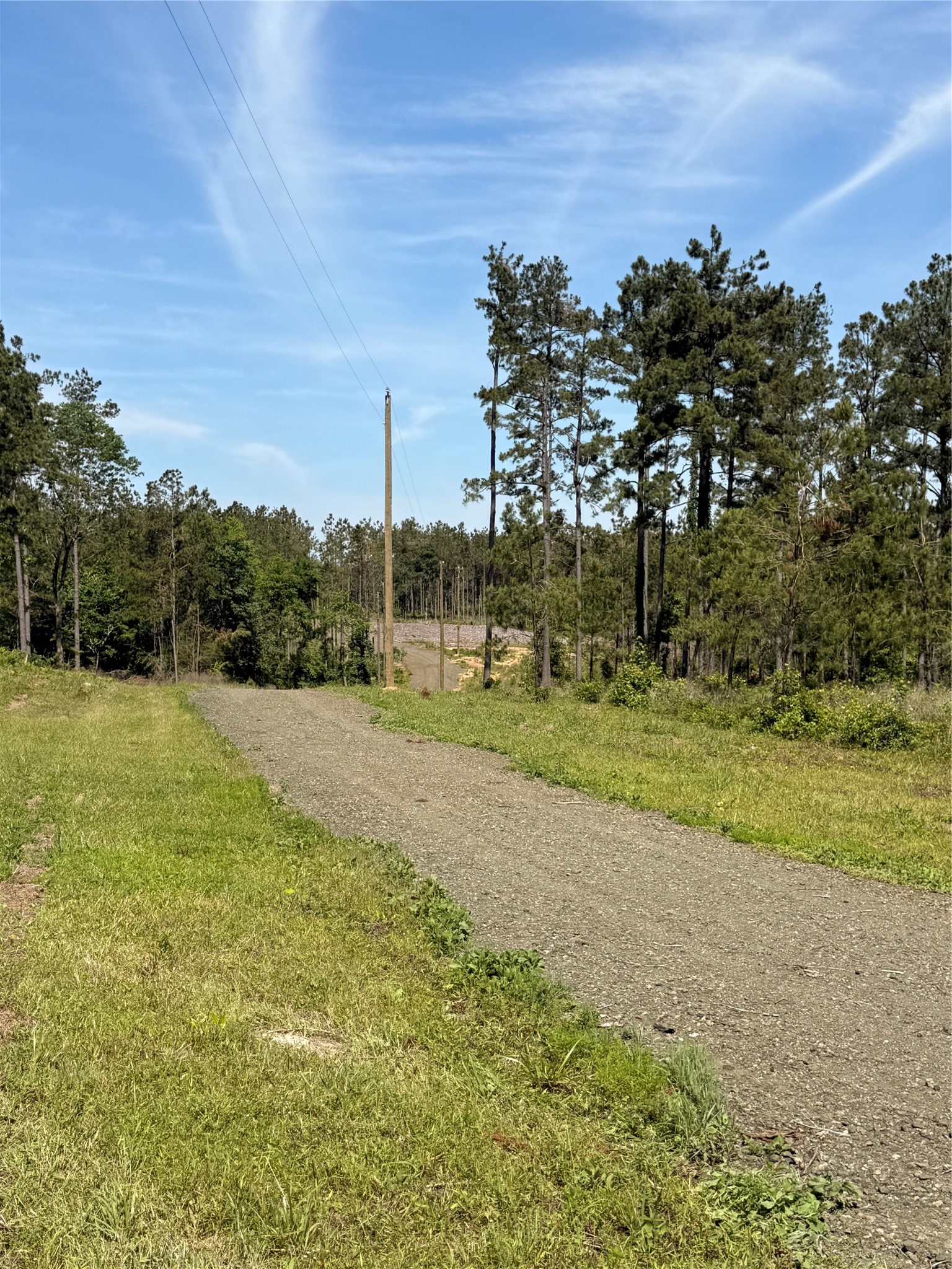 492 Piney Creek Estates Rd Property Photo 8