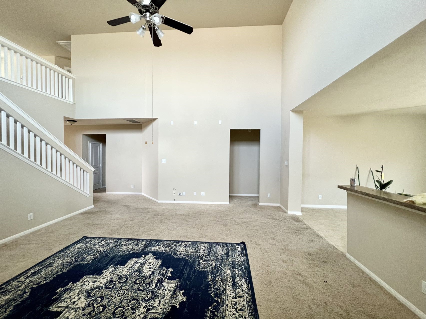 10831 Woodwind Shadows Drive Property Photo 9