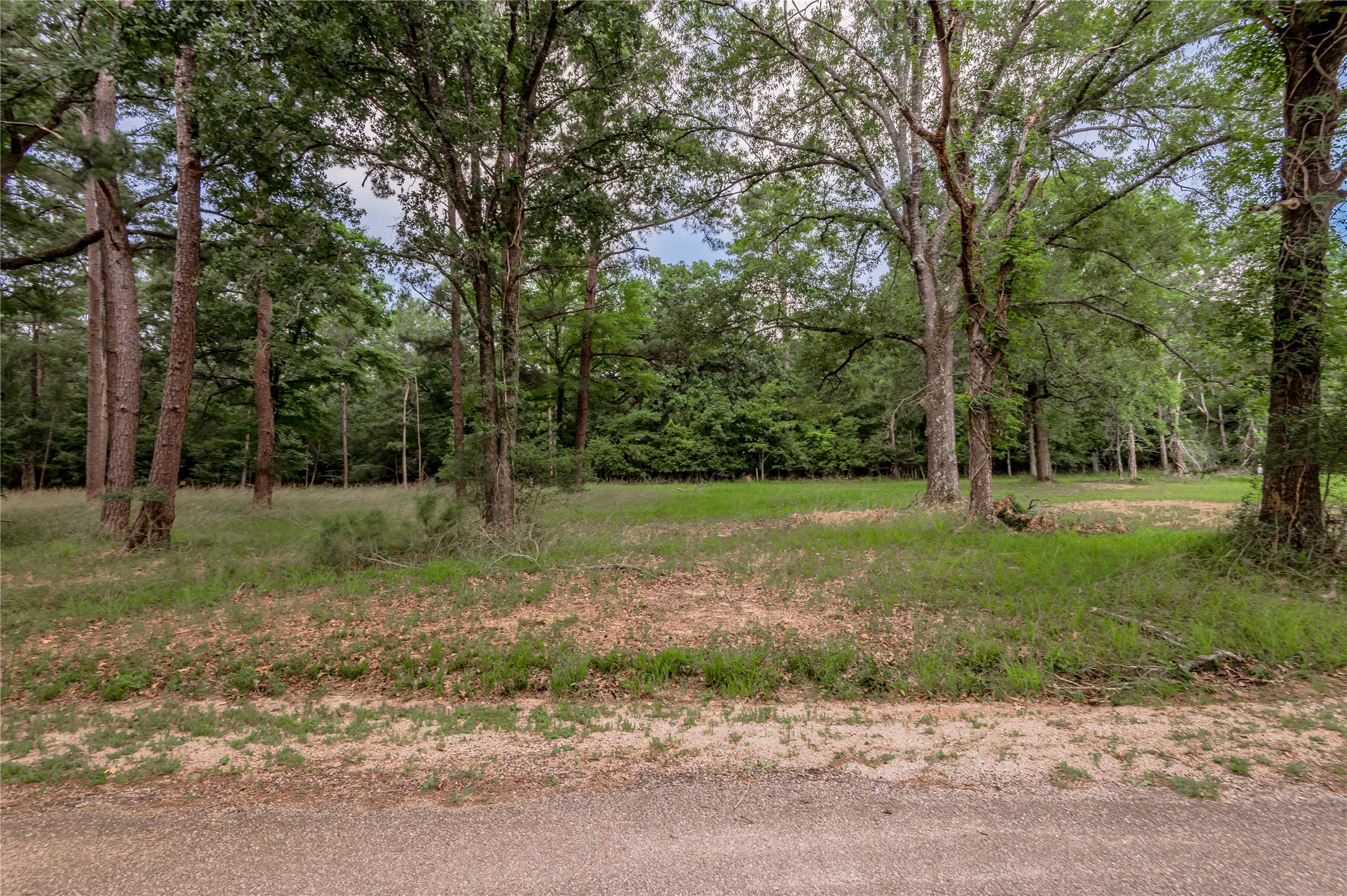 Lot 38 Peach Point Lane Property Photo 5