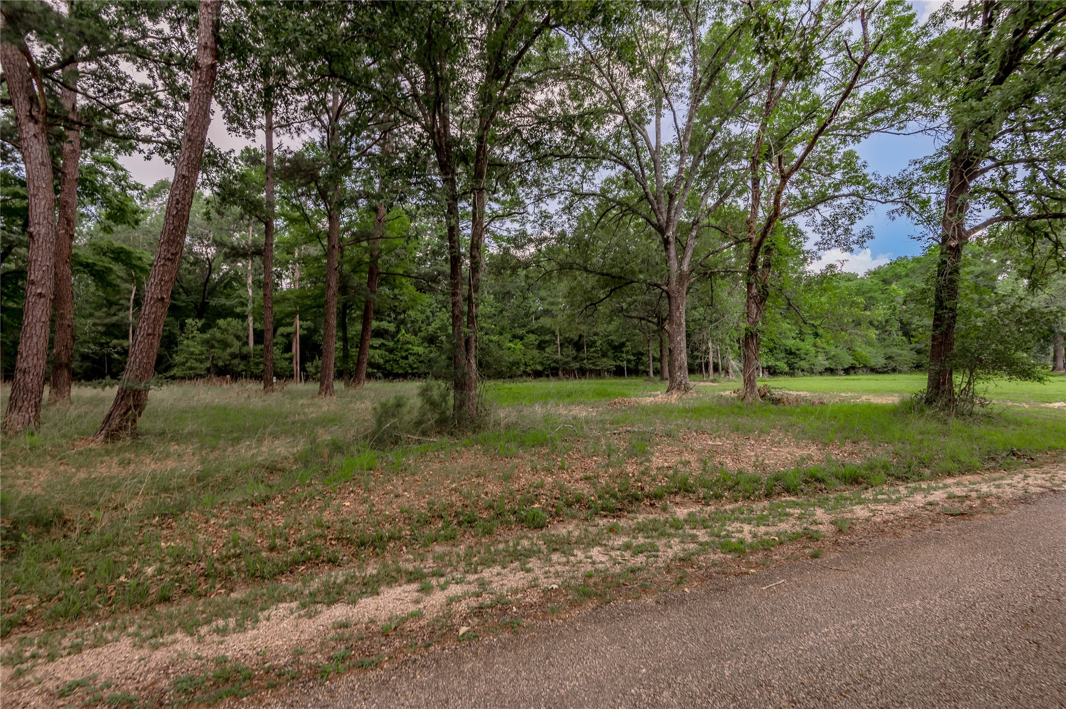 Lot 38 Peach Point Lane Property Photo 6