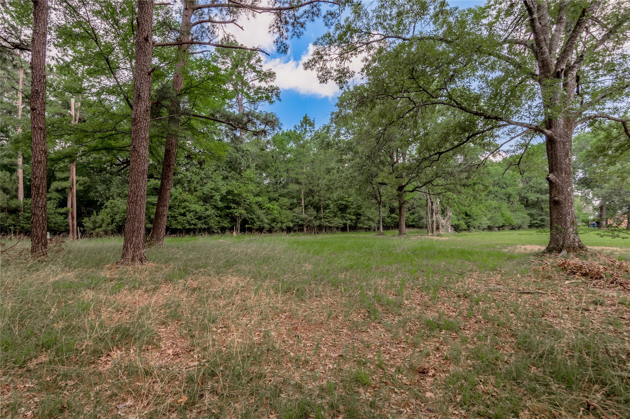 Lot 38 Peach Point Lane Property Photo 9