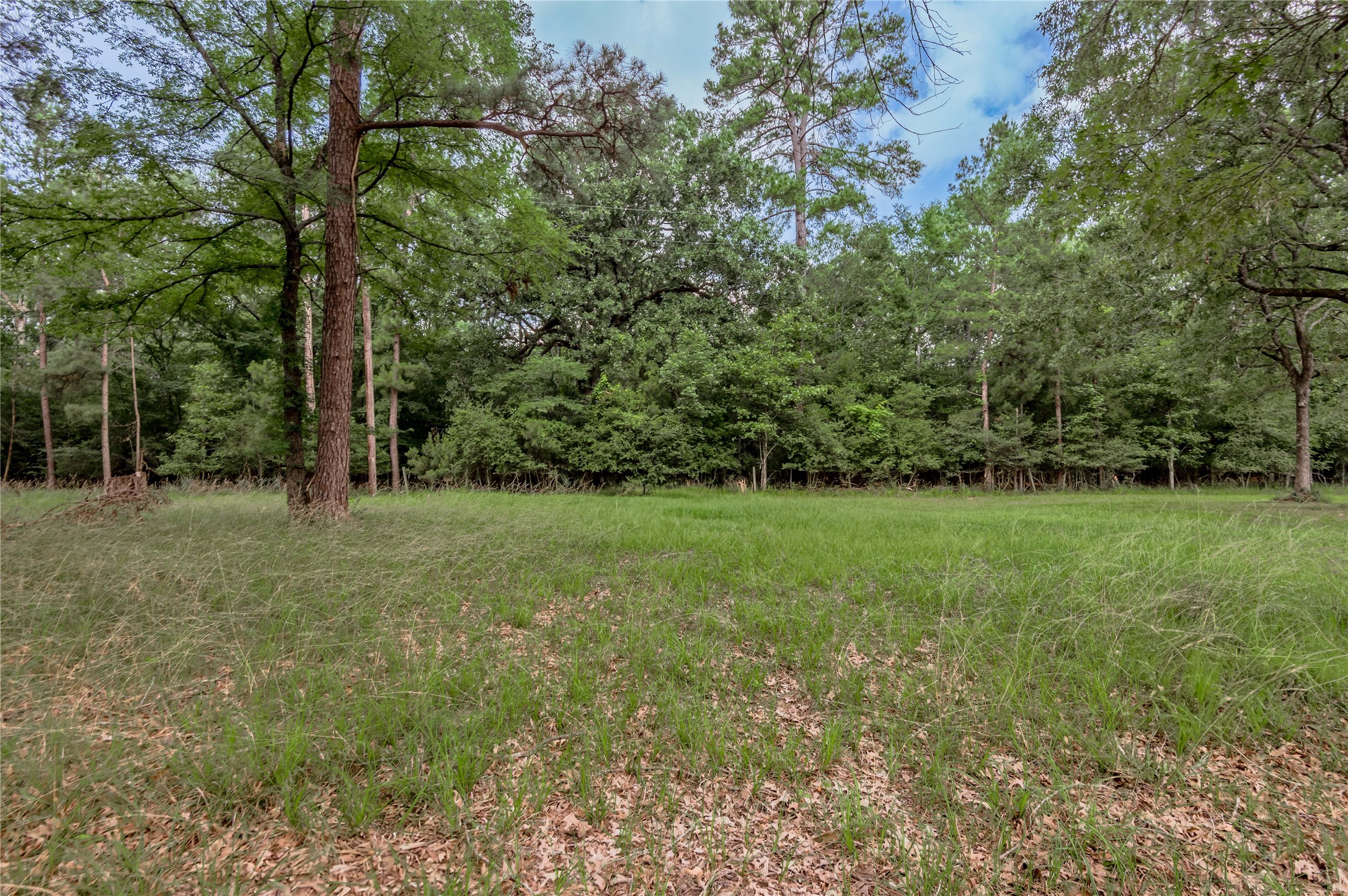 Lot 38 Peach Point Lane Property Photo 10