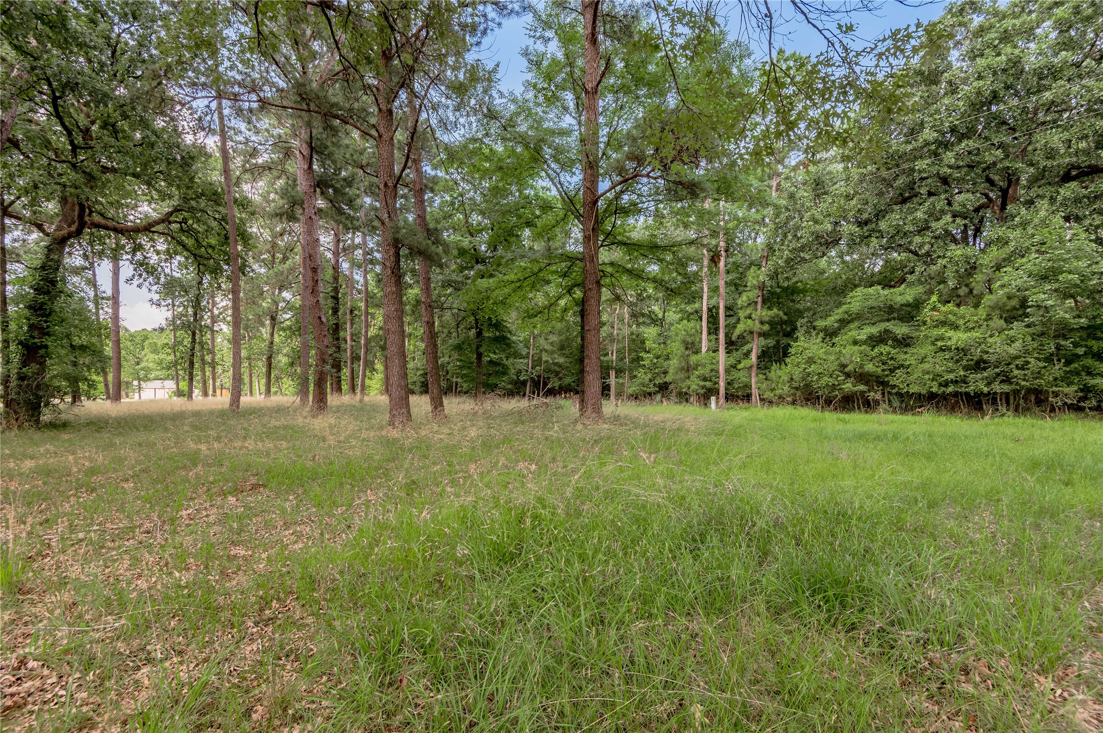 Lot 38 Peach Point Lane Property Photo 13