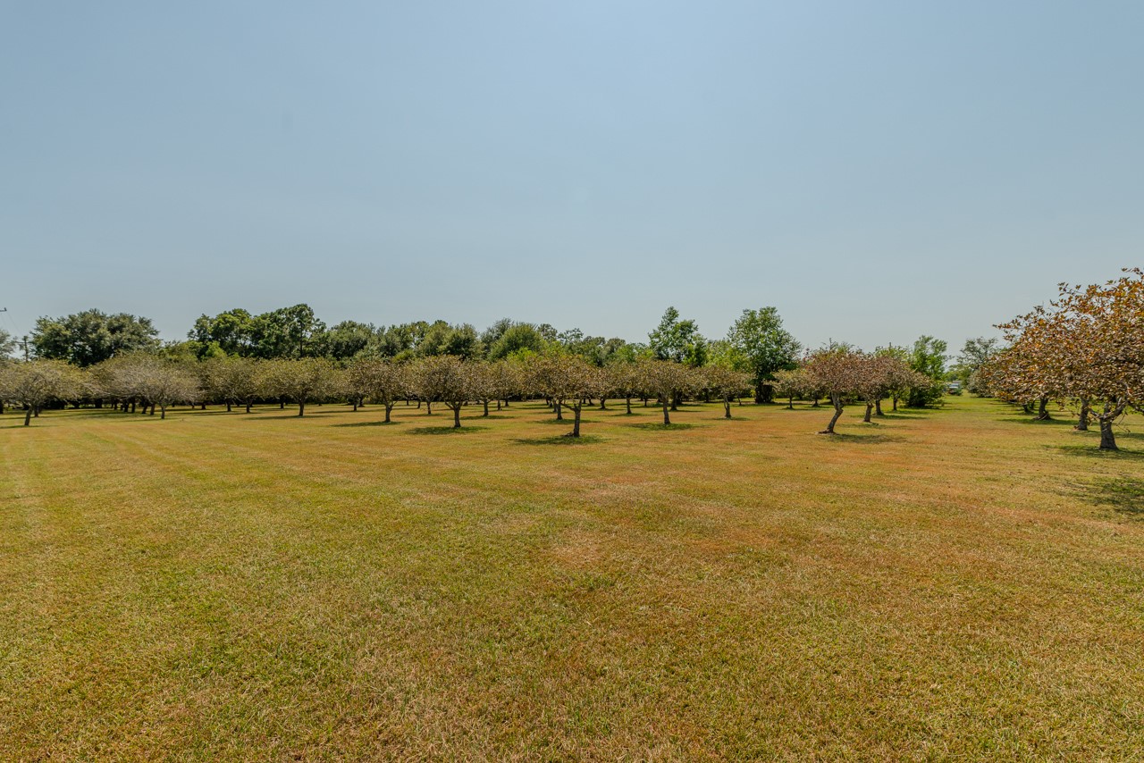 901 Casey Street Property Photo 43