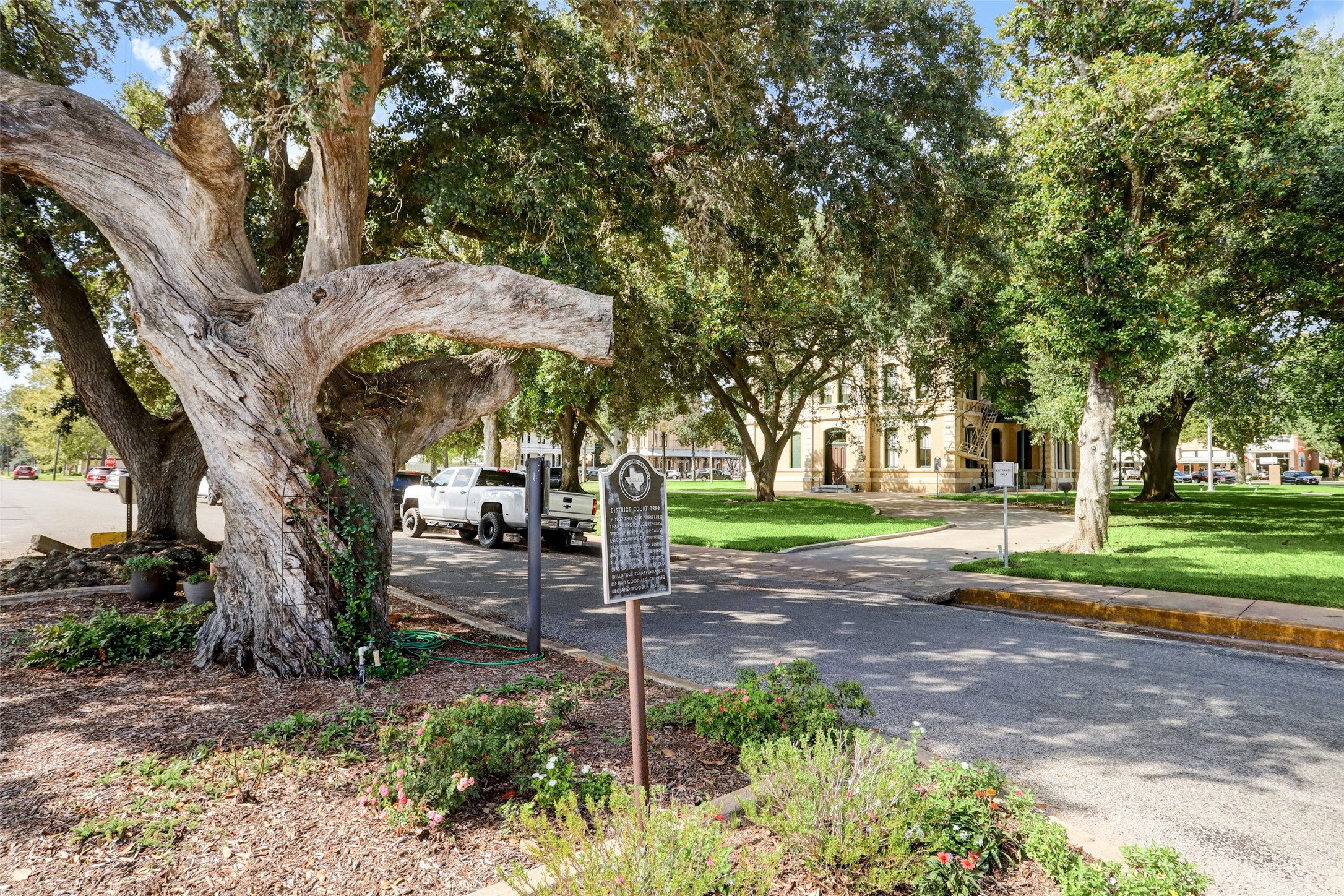 Lot 62 Acres Oak Hollow Court Property Photo 15