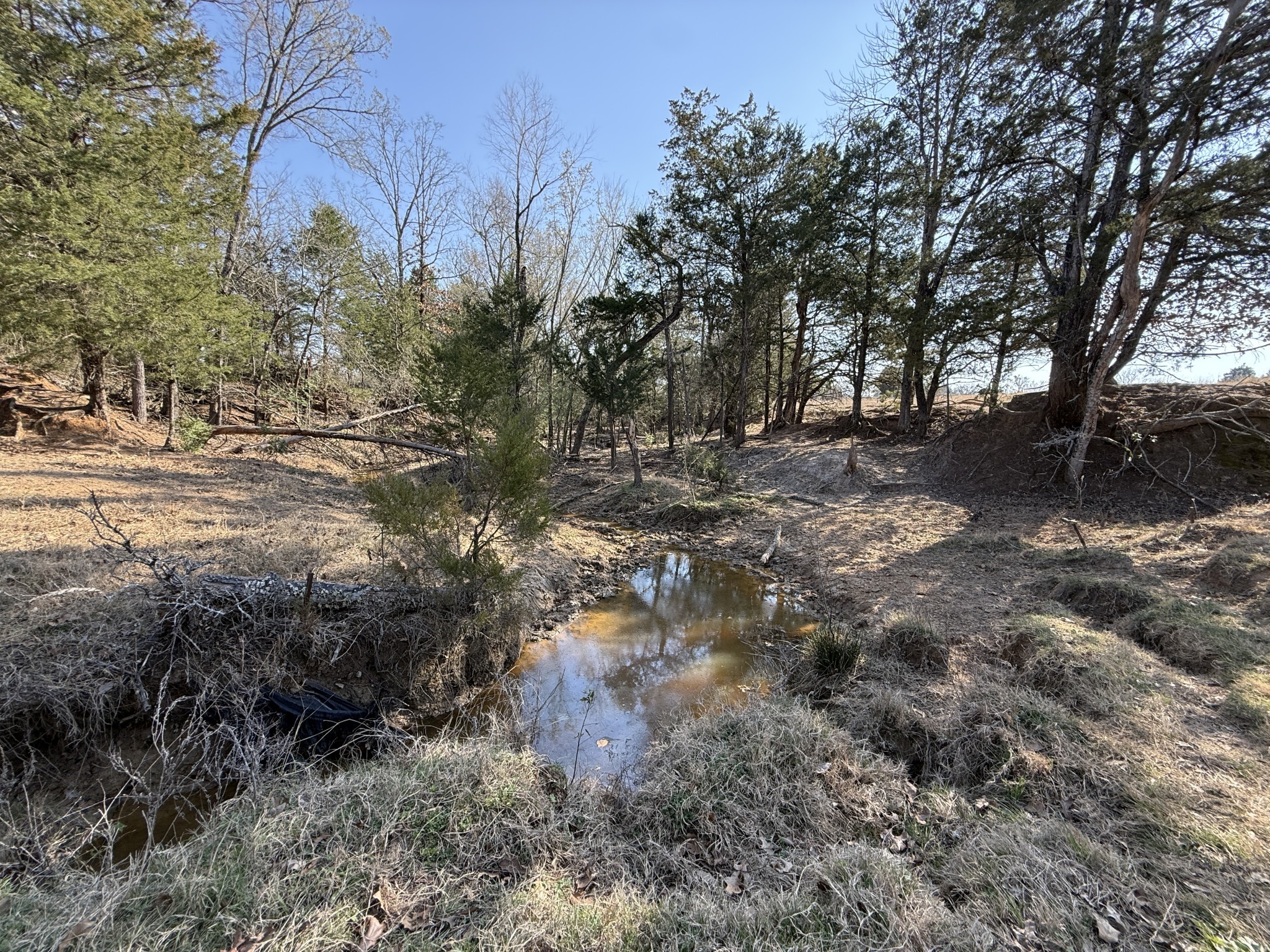 Tbd Tract 3 Fcr 510 Property Photo 13