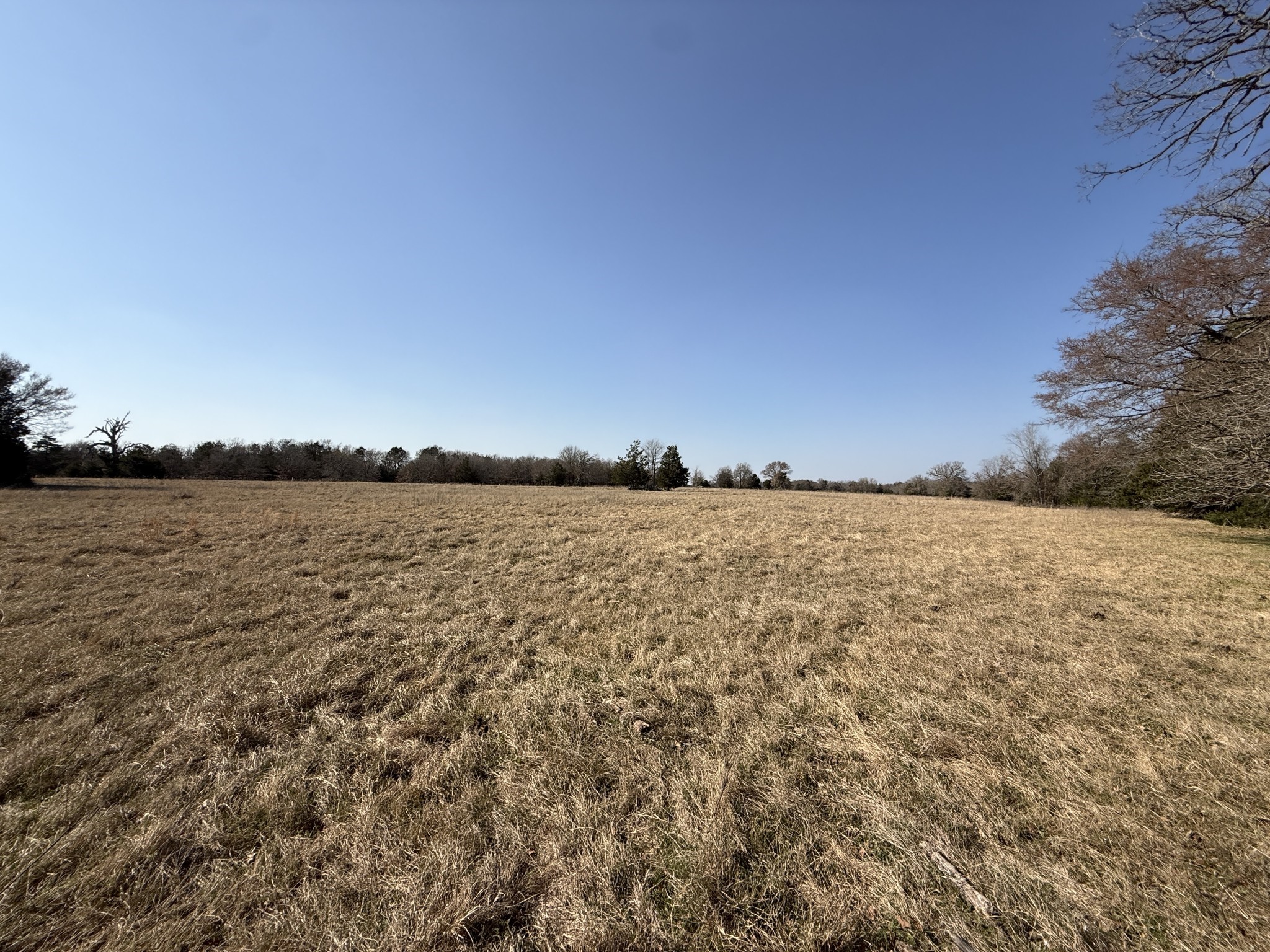 Tbd Tract 3 Fcr 510 Property Photo 14