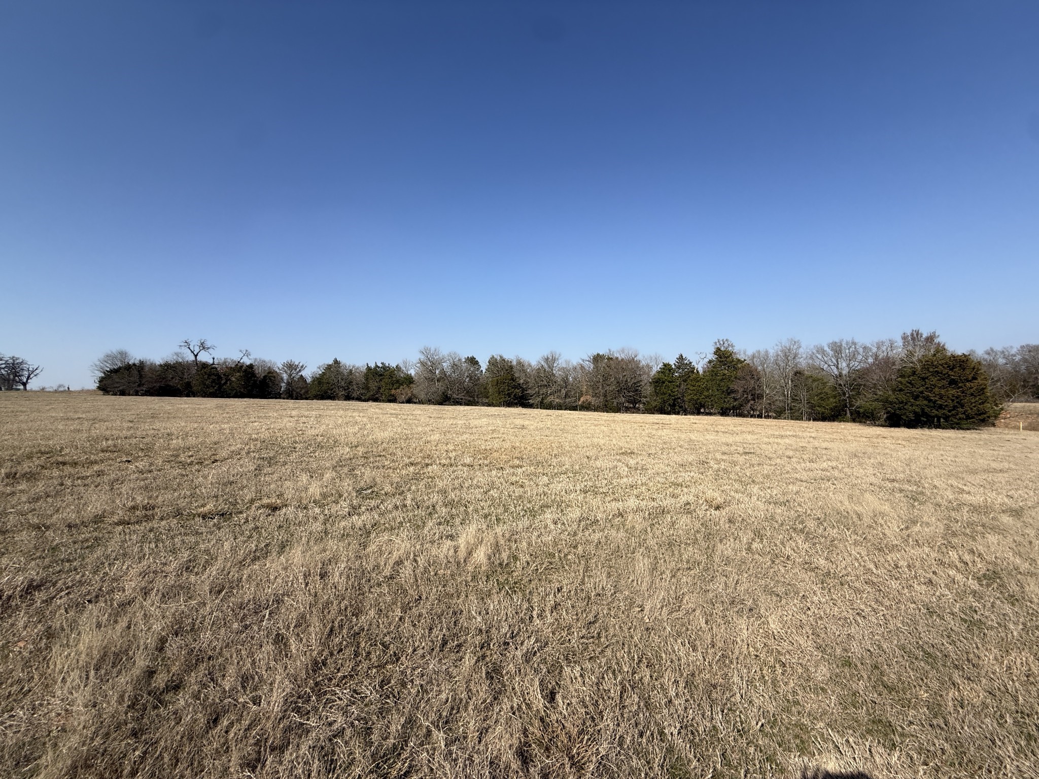 Tbd Tract 3 Fcr 510 Property Photo 15