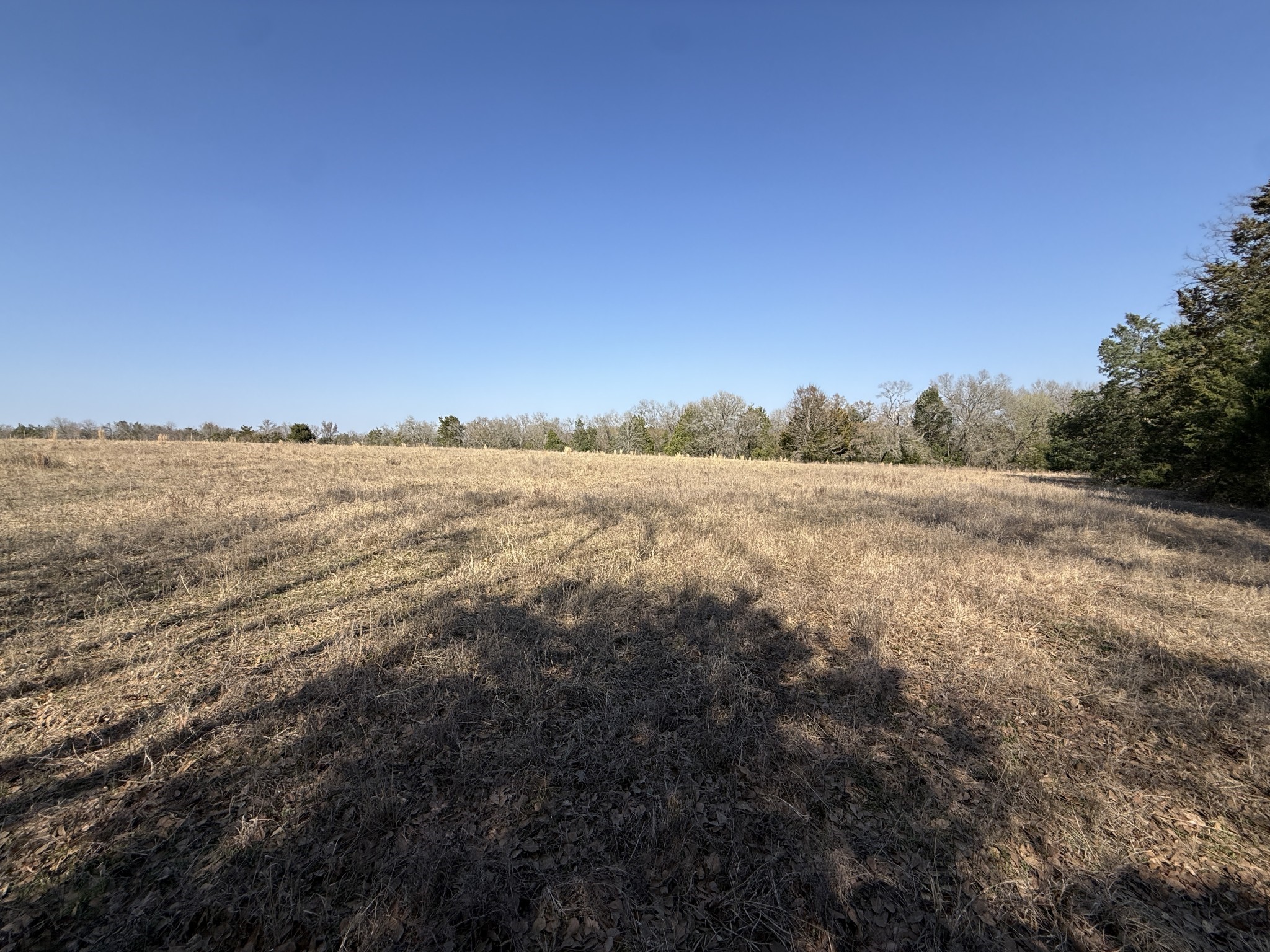 Tbd Tract 3 Fcr 510 Property Photo 31