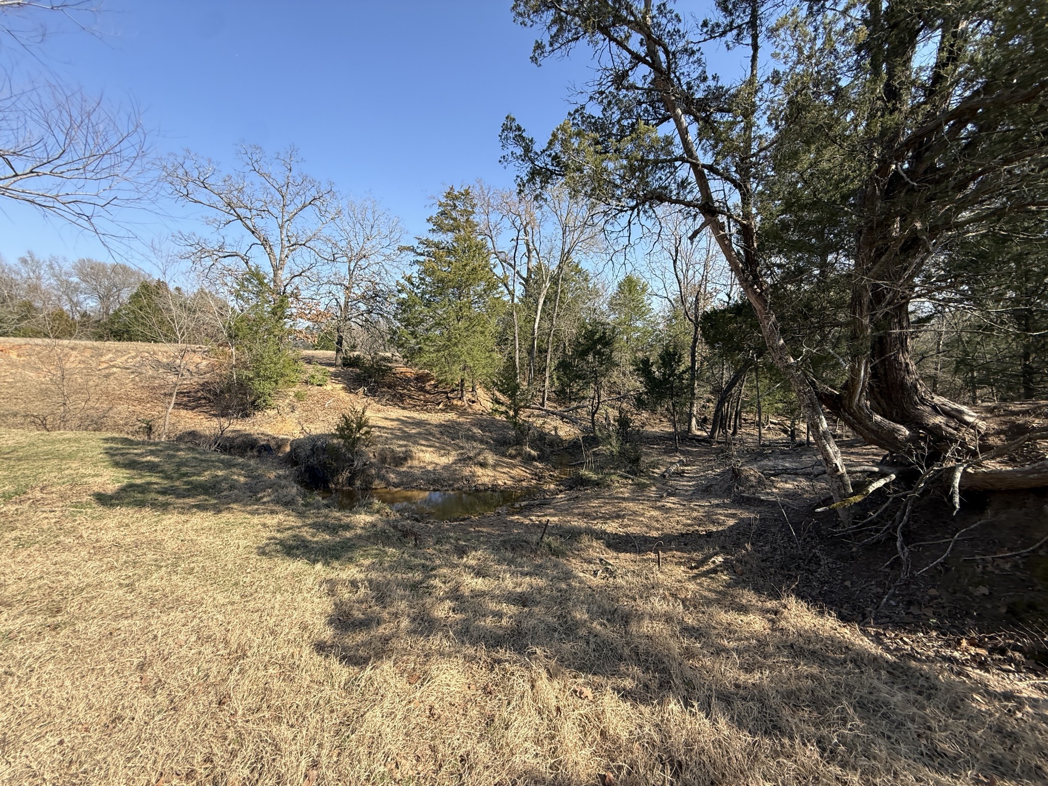 Tbd Tract 3 Fcr 510 Property Photo 33