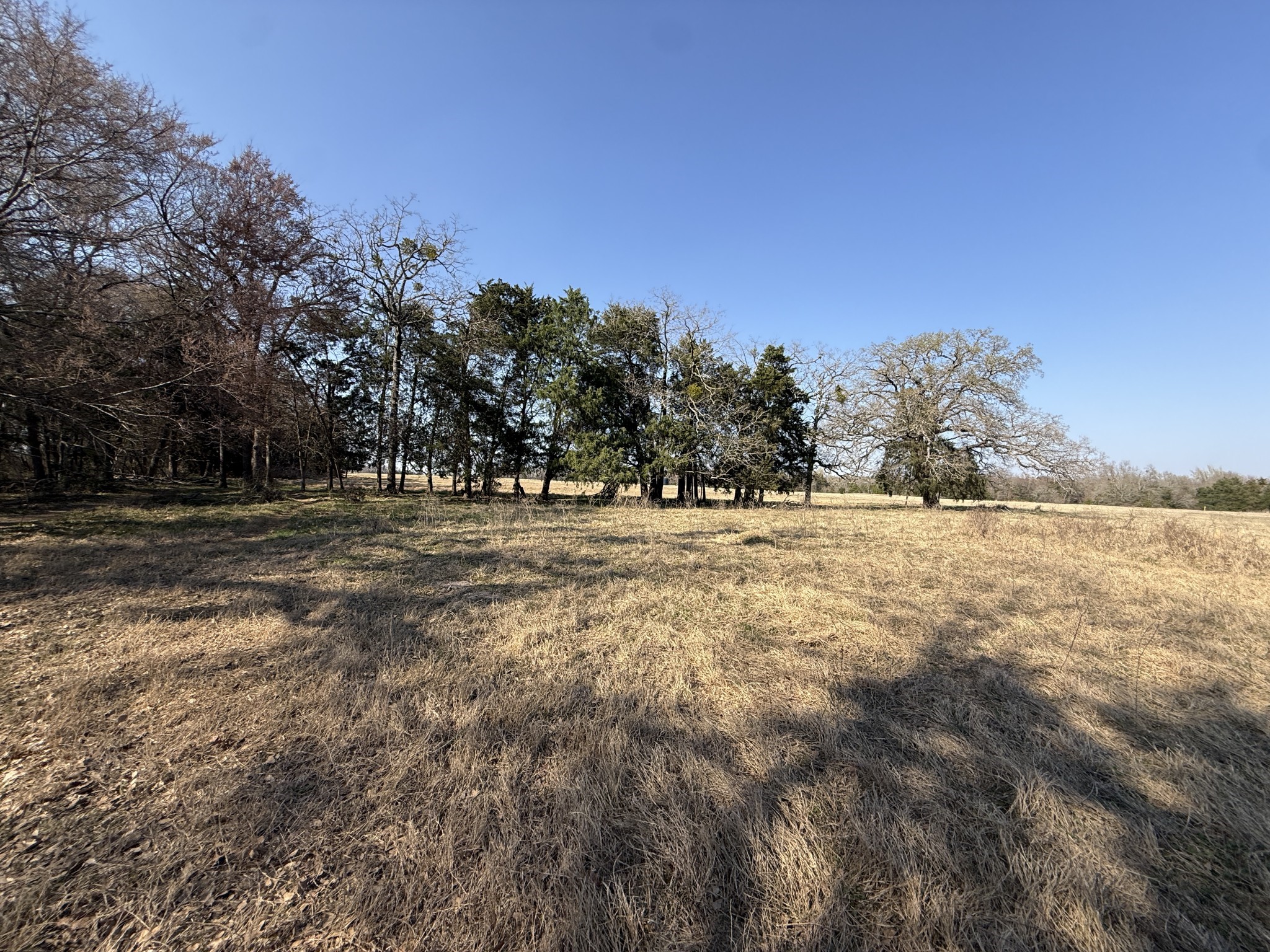 Tbd Tract 3 Fcr 510 Property Photo 37