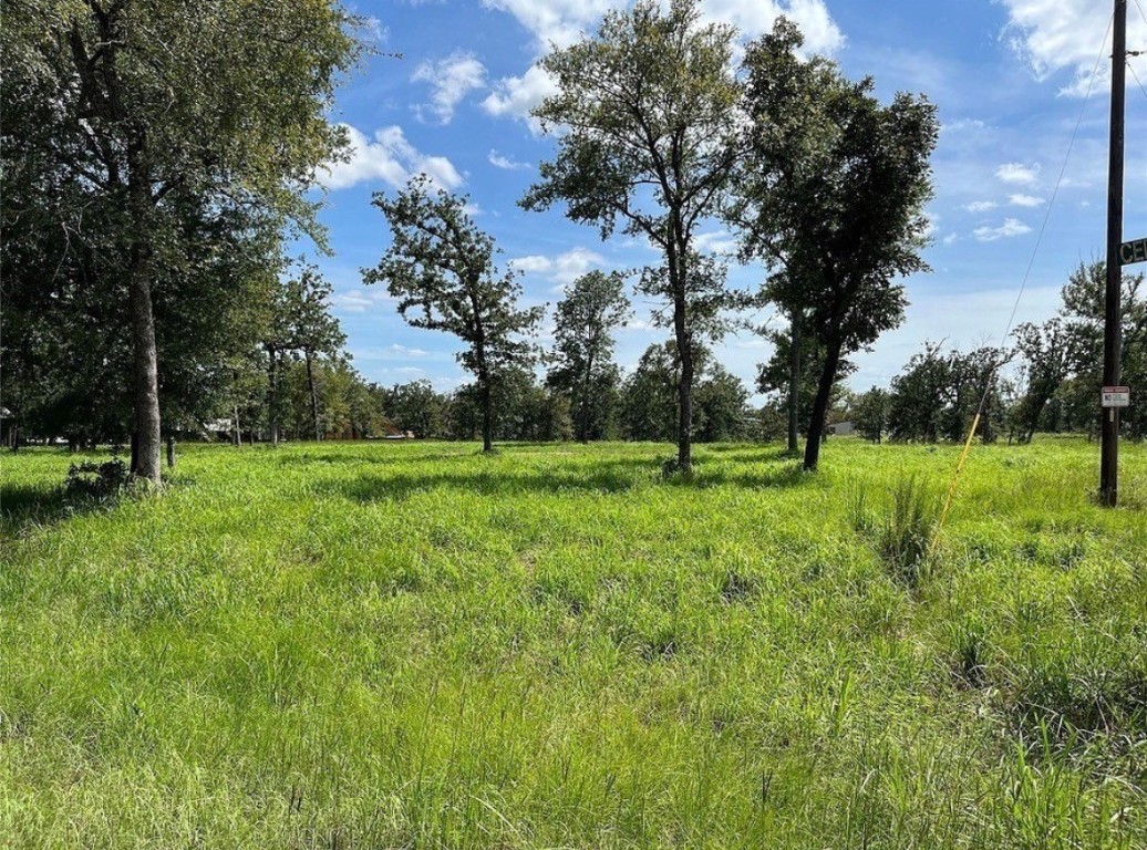 Tbd Hickory Loop Property Photo 1