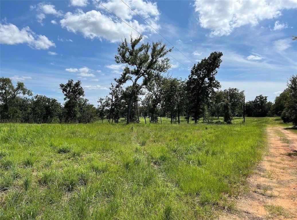 Tbd Hickory Loop Property Photo 2