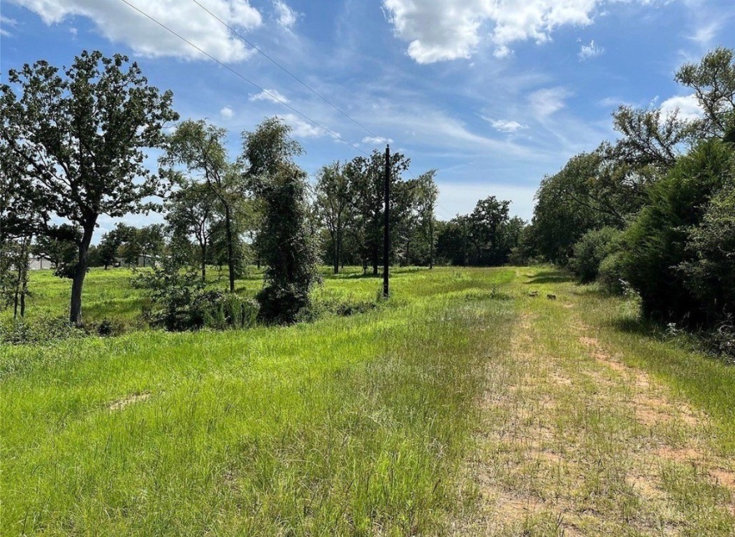 Tbd Hickory Loop Property Photo 3