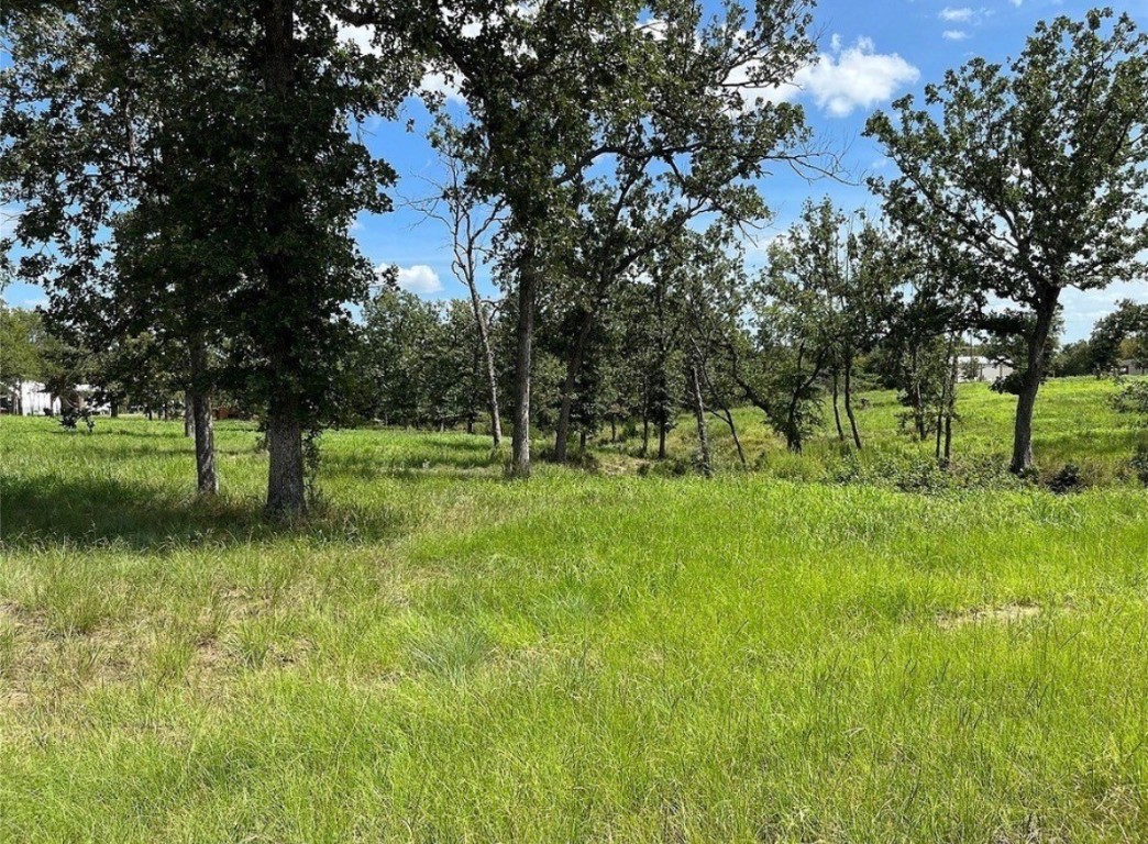 Tbd Hickory Loop Property Photo 4