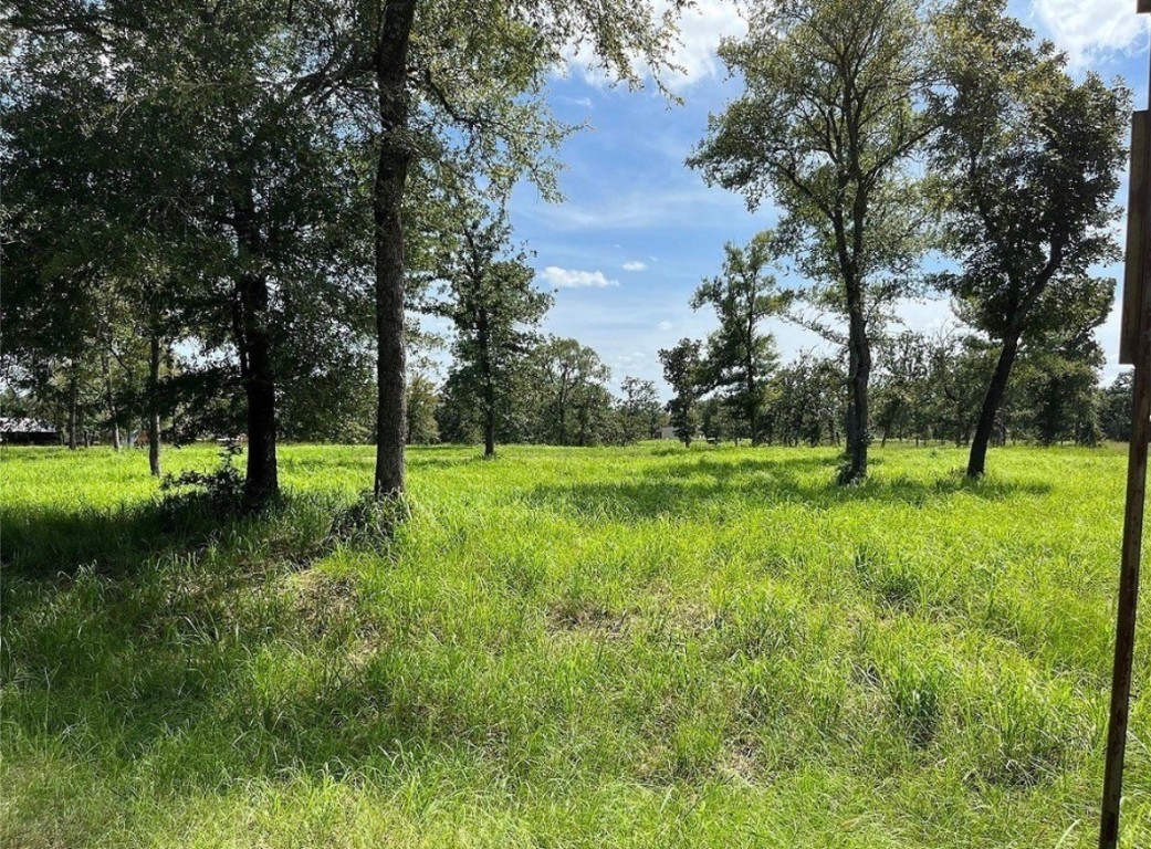 Tbd Hickory Loop Property Photo 6