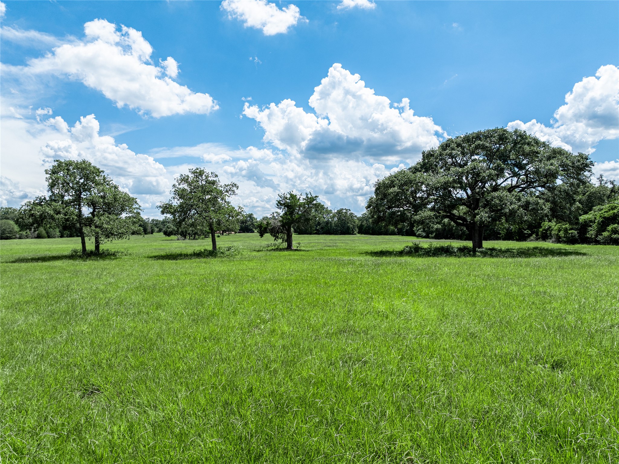 0000 State Highway 71 W Property Photo 9