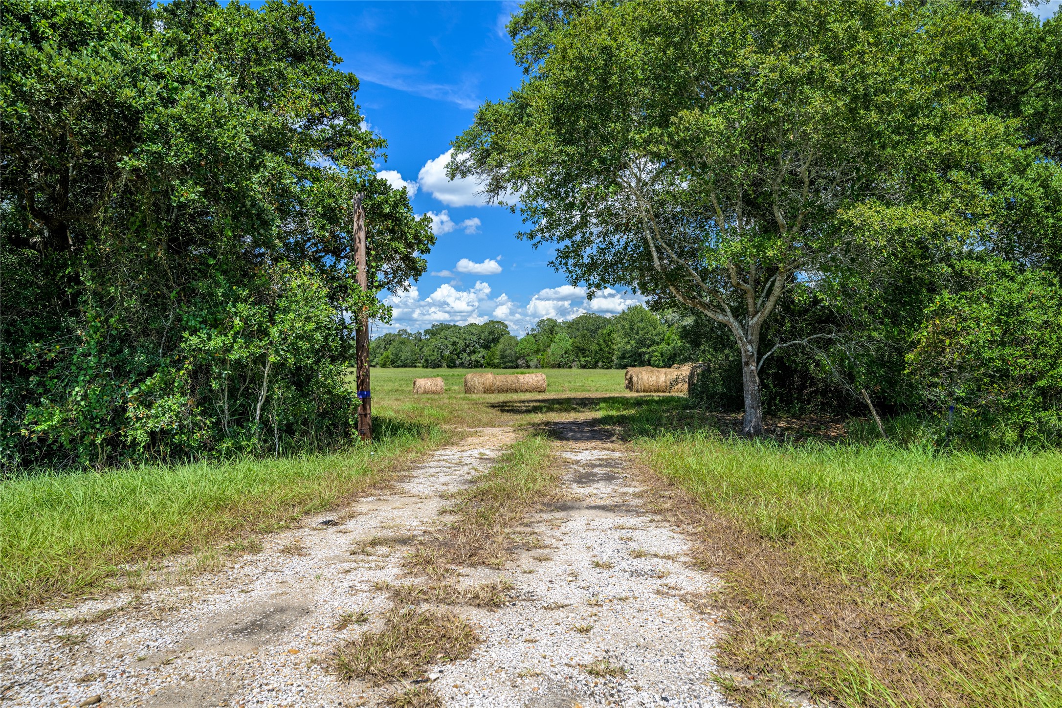 0000 State Highway 71 W Property Photo 10