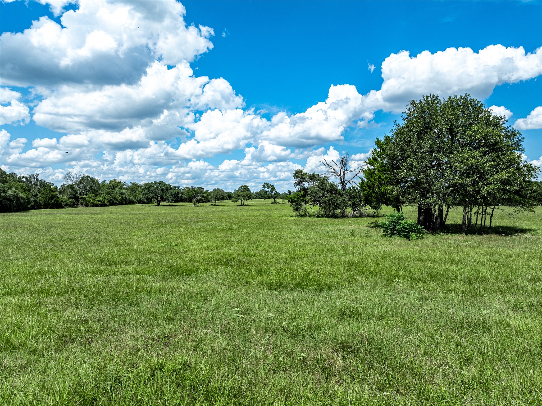 0000 State Highway 71 W Property Photo 12